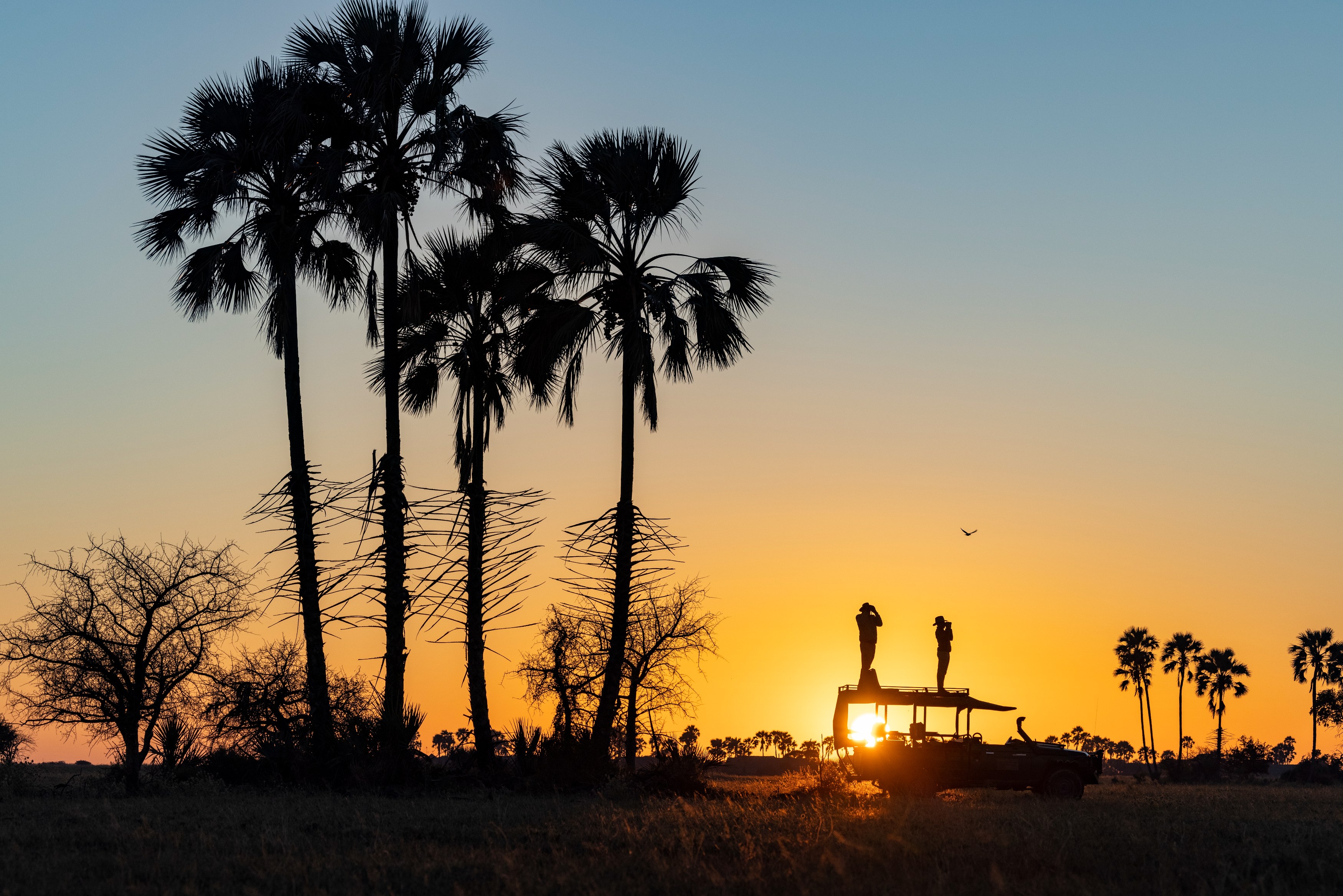BW-San-Camp-12 Makgadikgadi Game drive.jpg