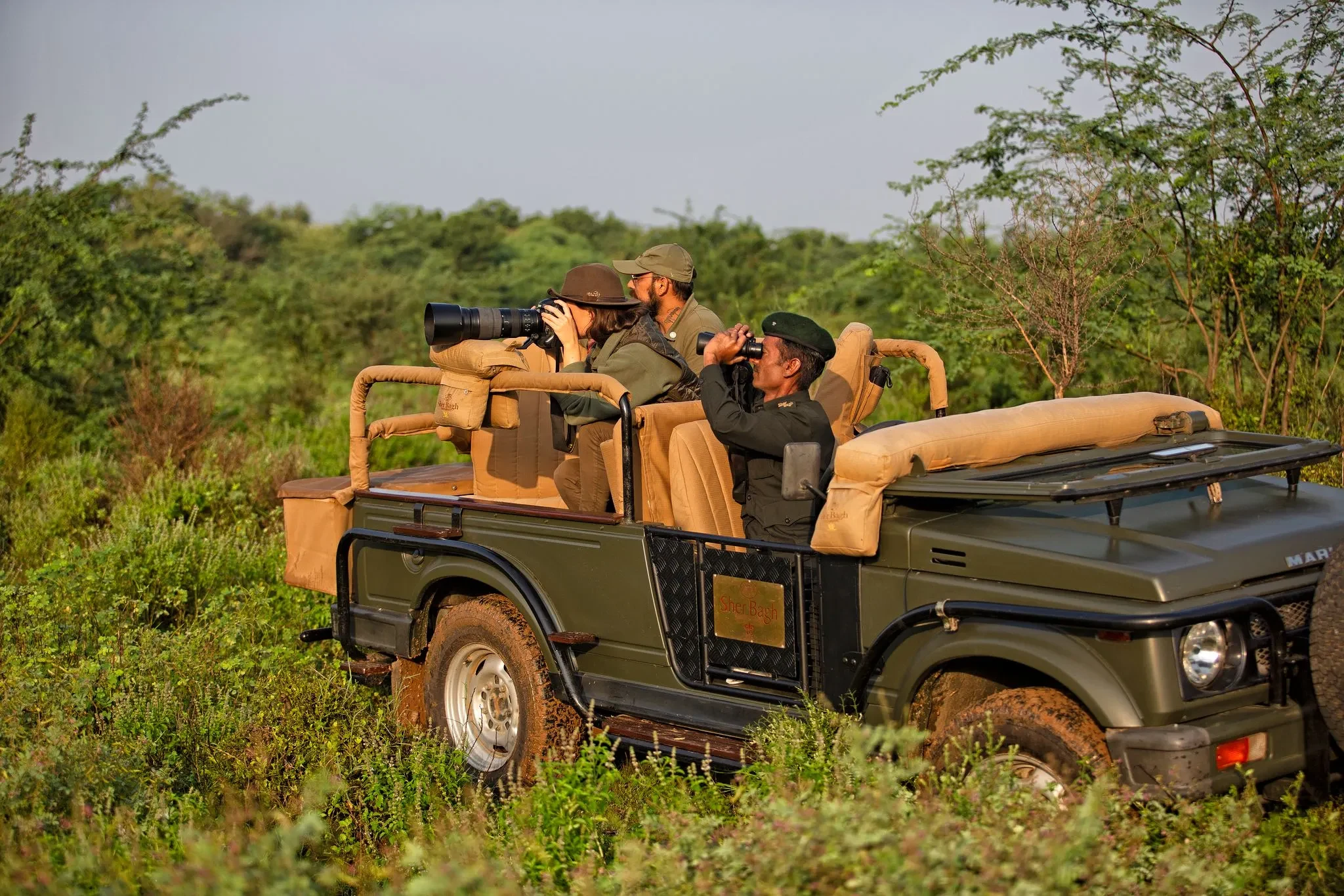 IN - Sujan Sher Bagh - beleef - op safari(1).webp