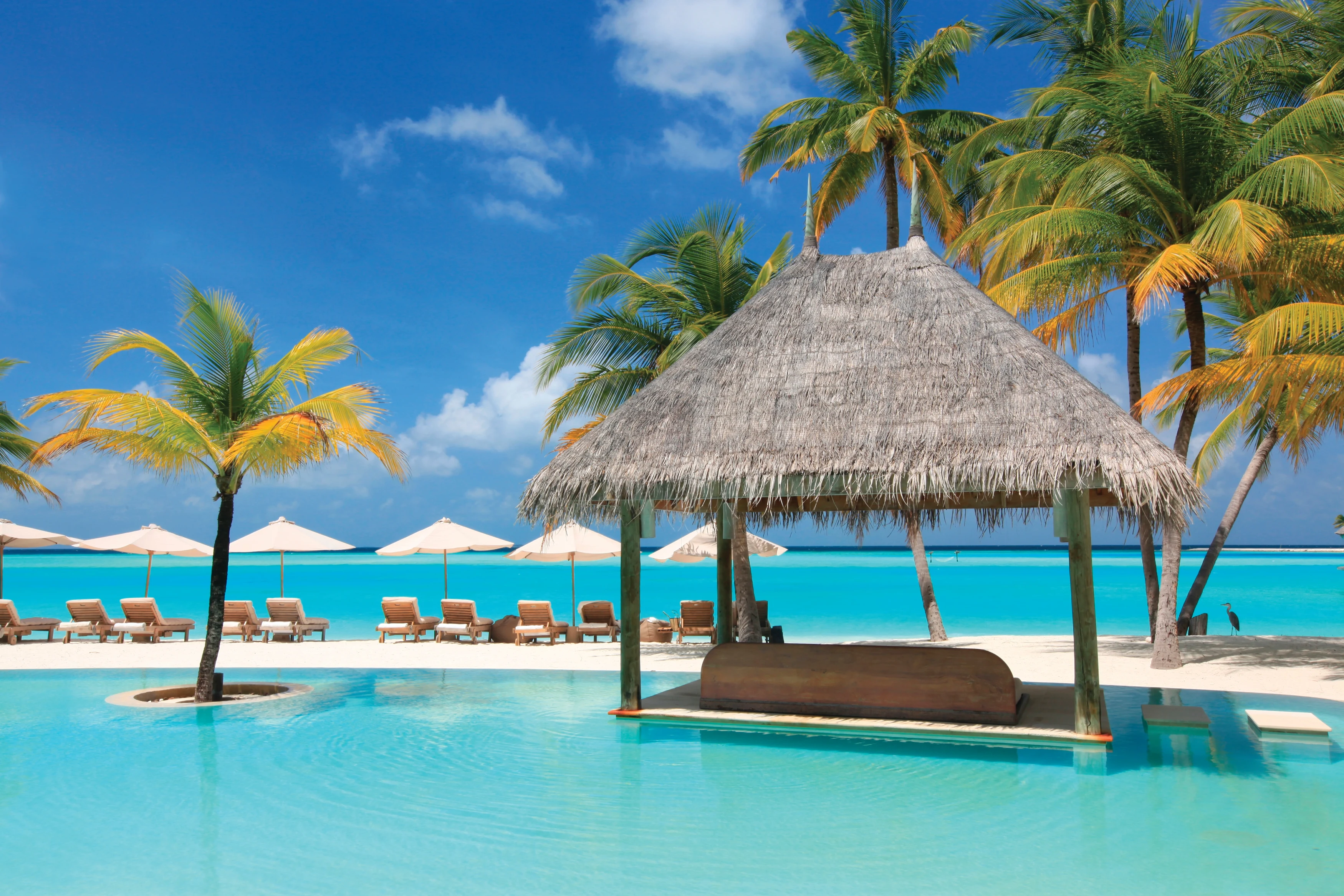 MV - Gili Lankanfushi - Main Pool.webp
