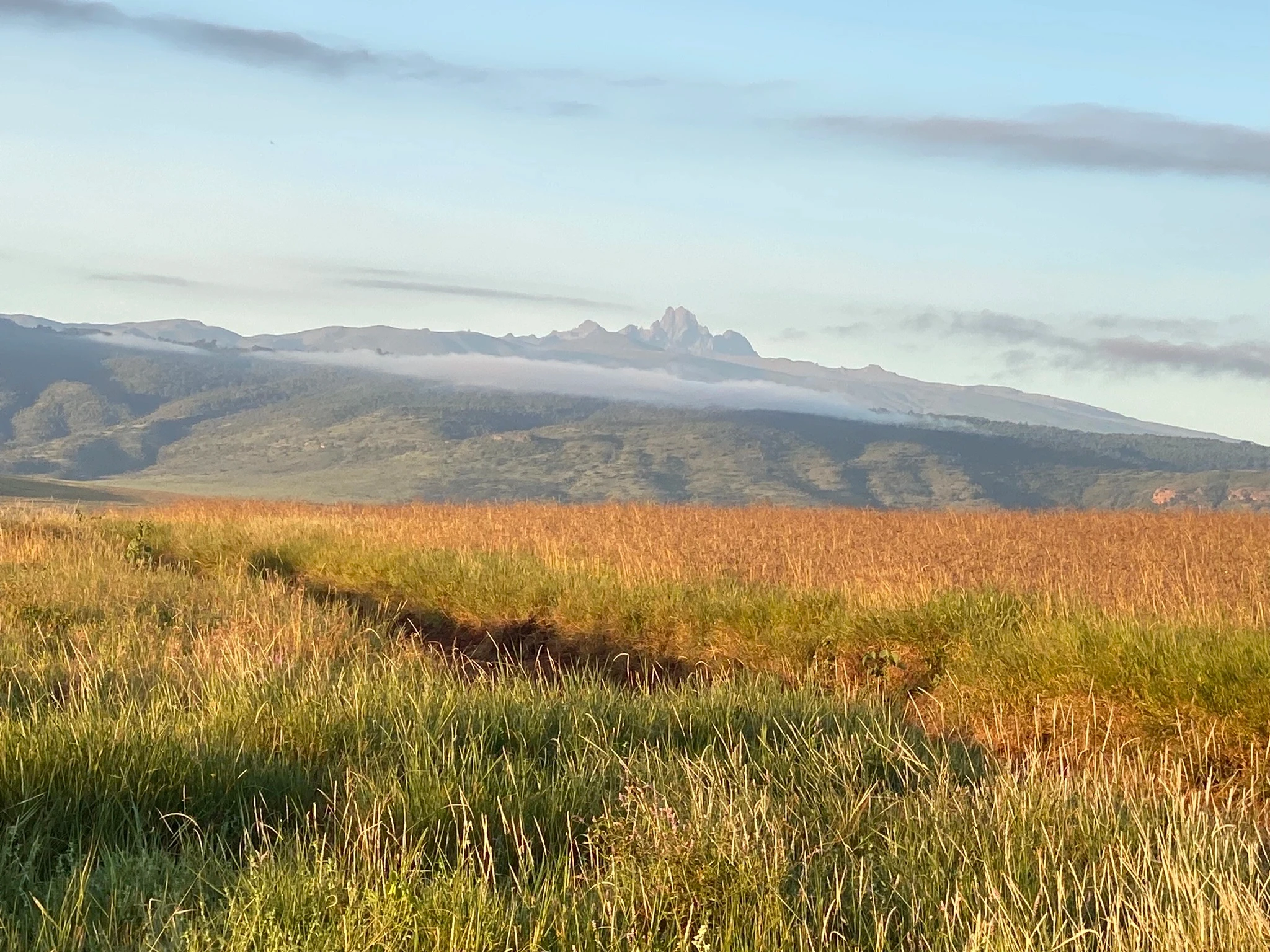 KE - Mount Kenya.webp
