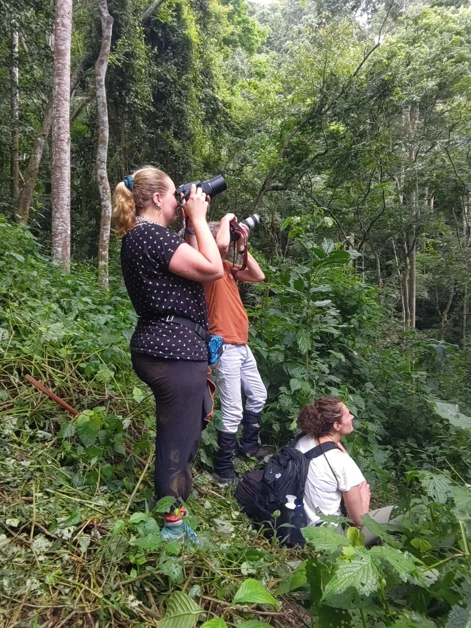 RW-Nyungwe-National-Park-Chimpansees-tracking-and-Seraphine.webp