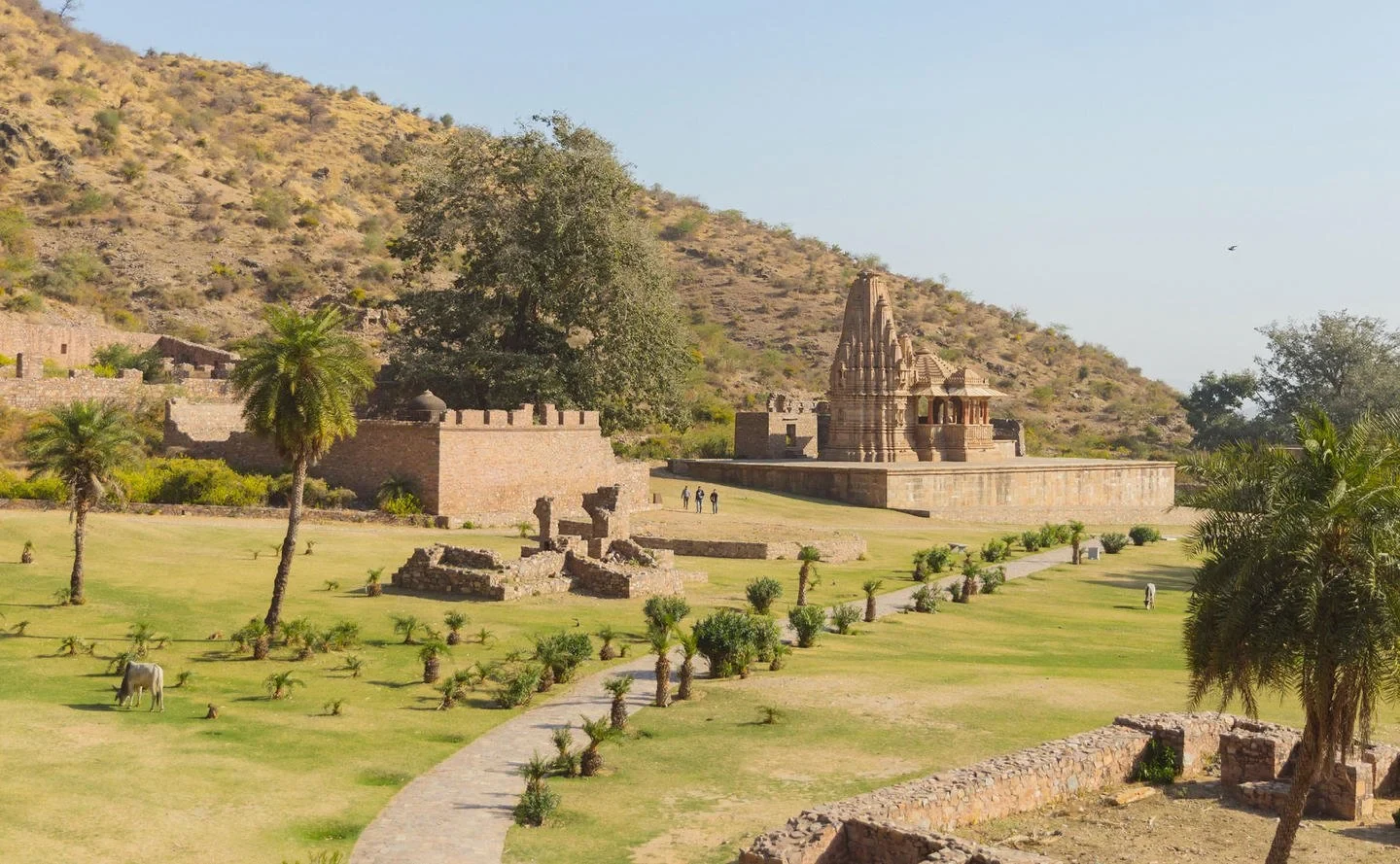 IN-Amanbagh-Bhangarh.webp