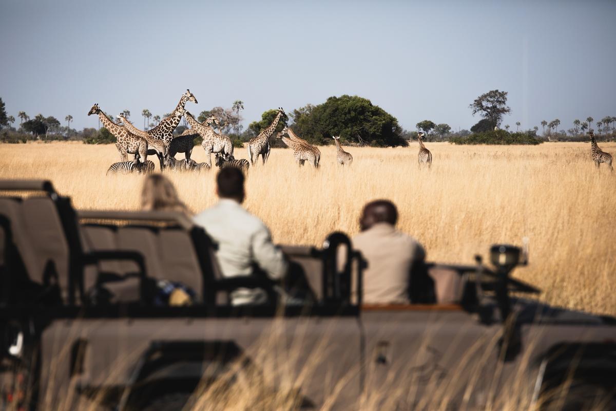 BW-Tubu Tree-game drive.jpg