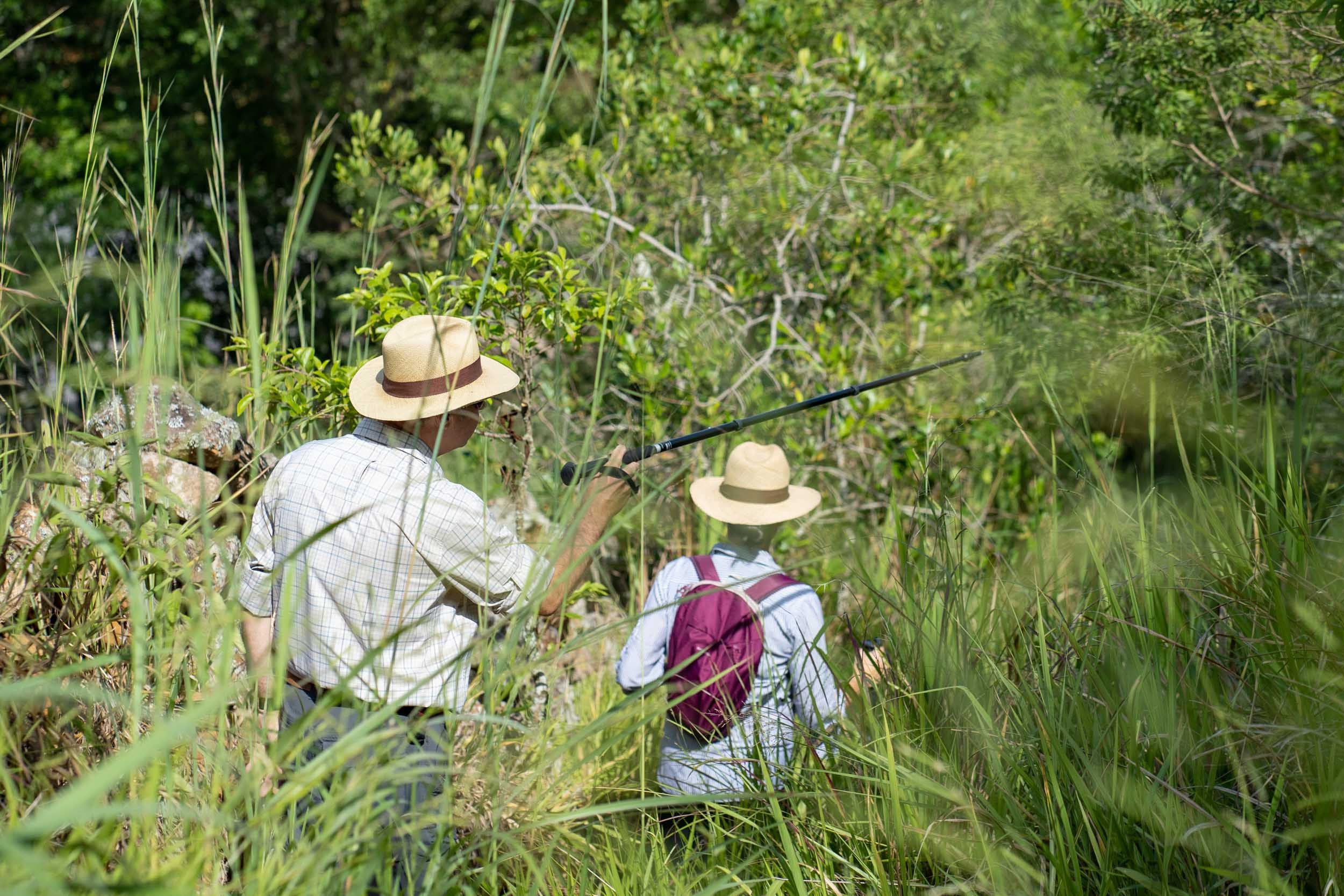 CO-excursie-COFFEE-HACIENDA-header.jpg