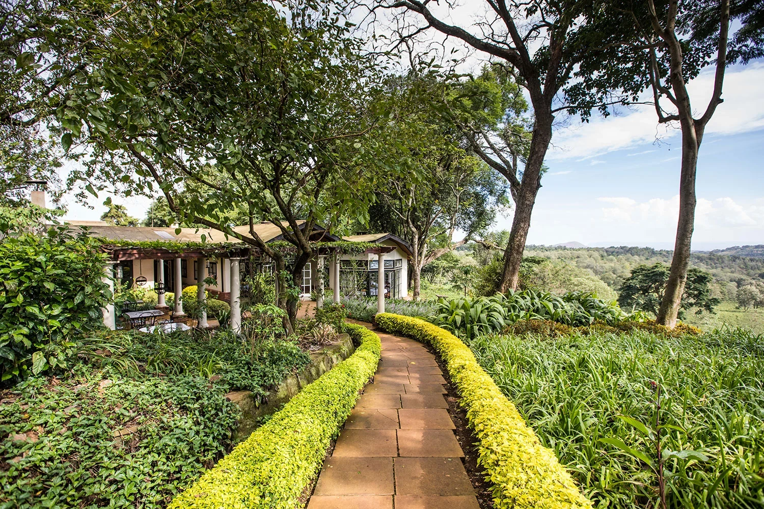 TZ-Gibbs Farm- restaurant path.webp