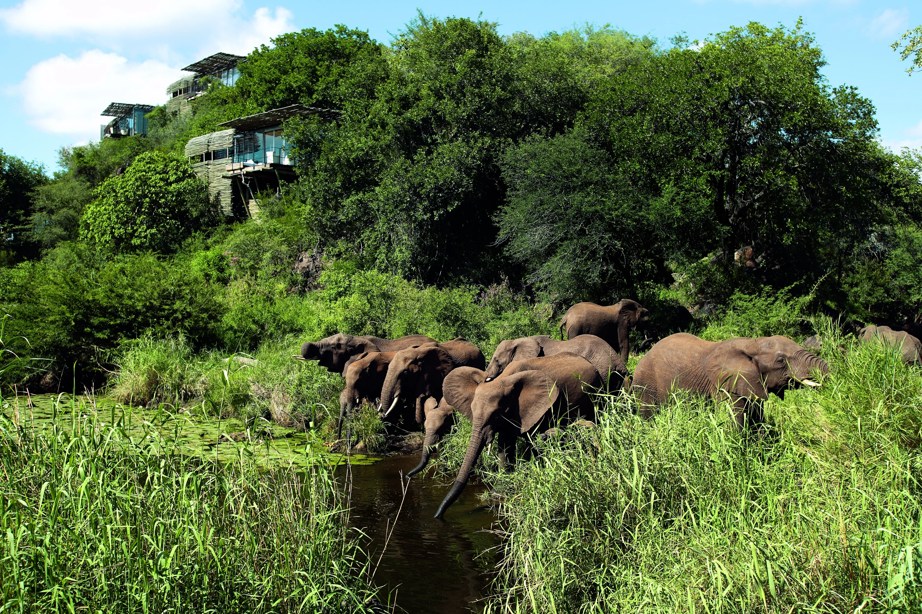 ZA - Singita Lebombo - Lodge.webp