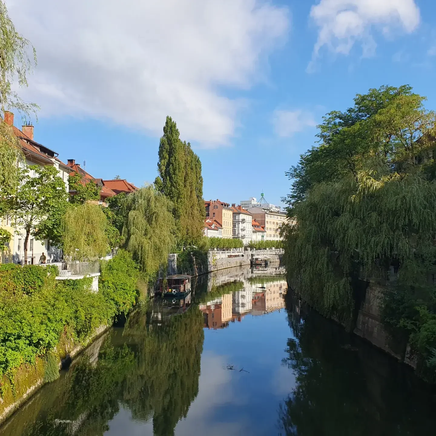SI-studiereis-Slovenië-Ljubljana river view.webp