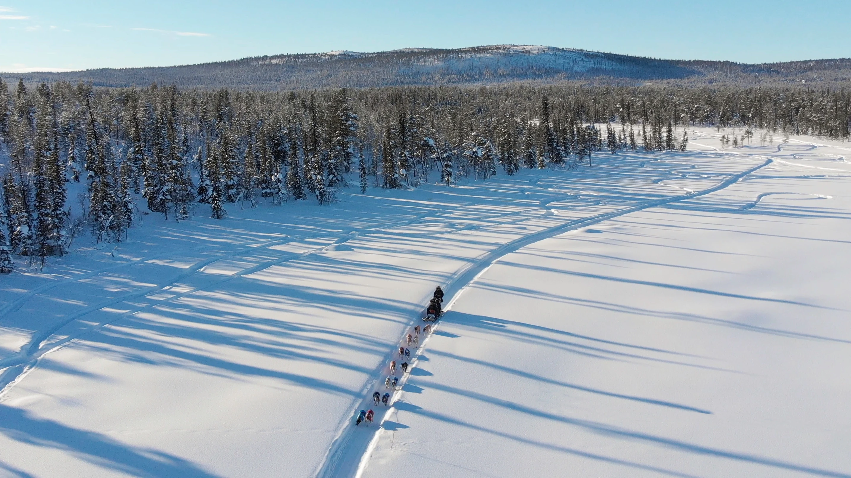 SE - Lapland - Sleddog - Ariel View.webp