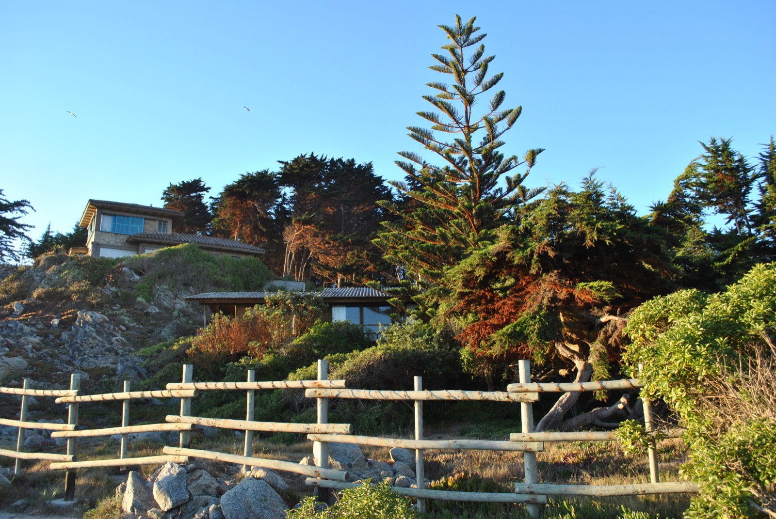 CL_-_Santiago_de_Chile_-_Isla_Negra4.jpg