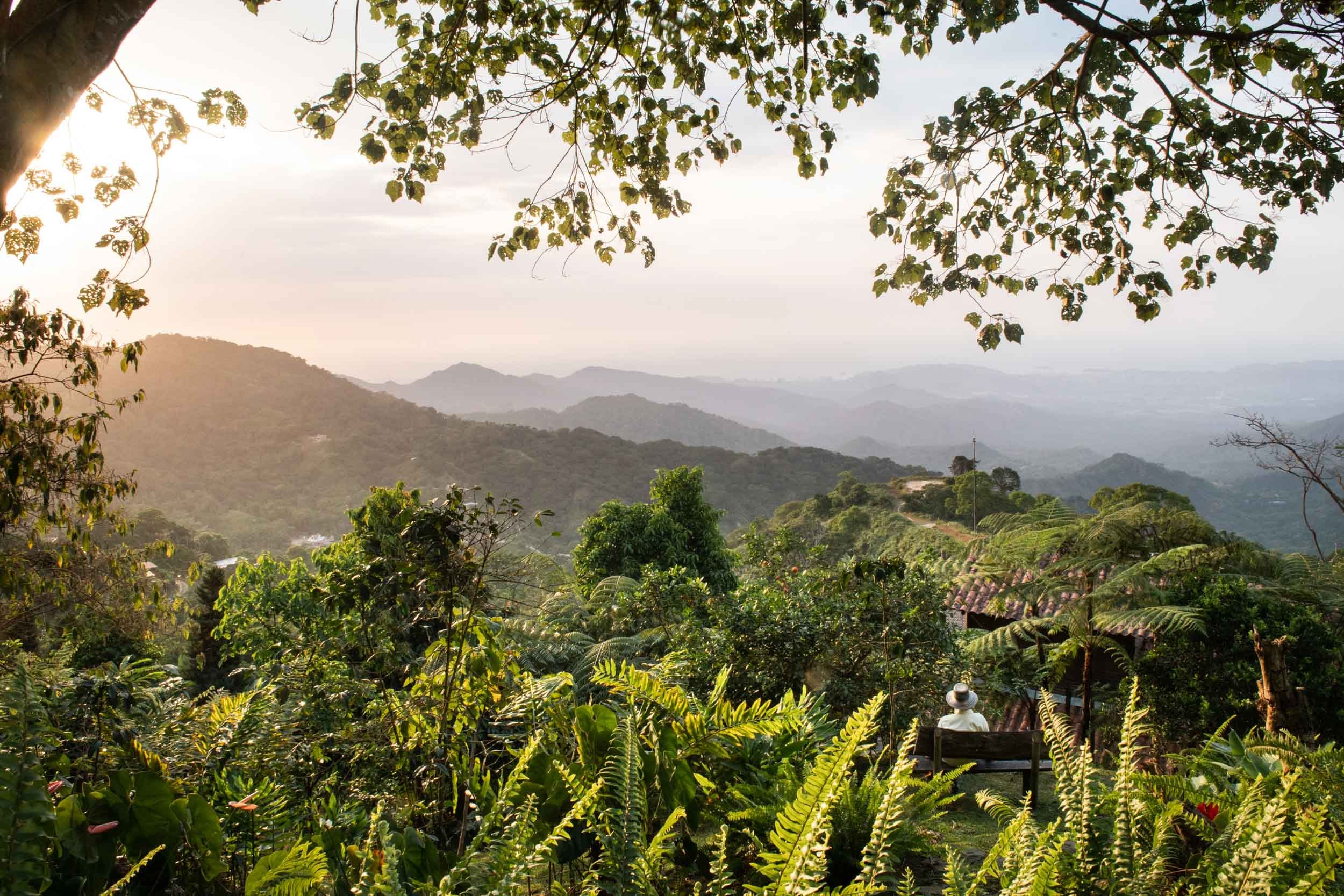 CO-accommodatie-Casa_Oropendola-view__1_ (1).jpg