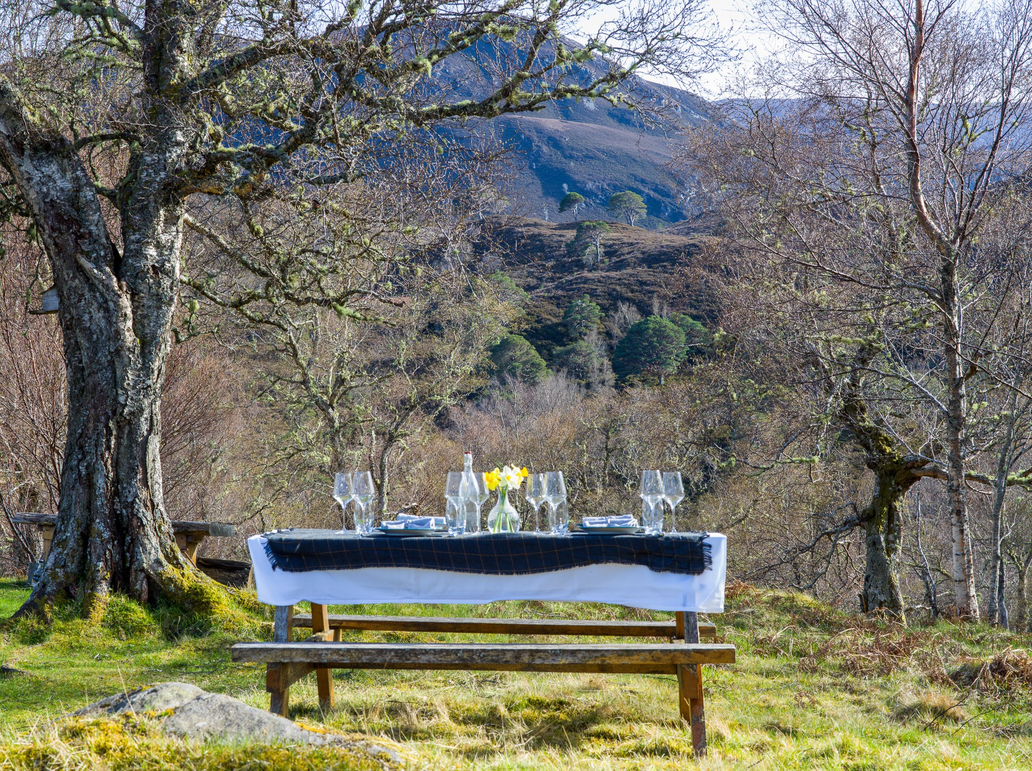 GB - accommodatie - Alladale Wilderness Reserve picnick j.jpg