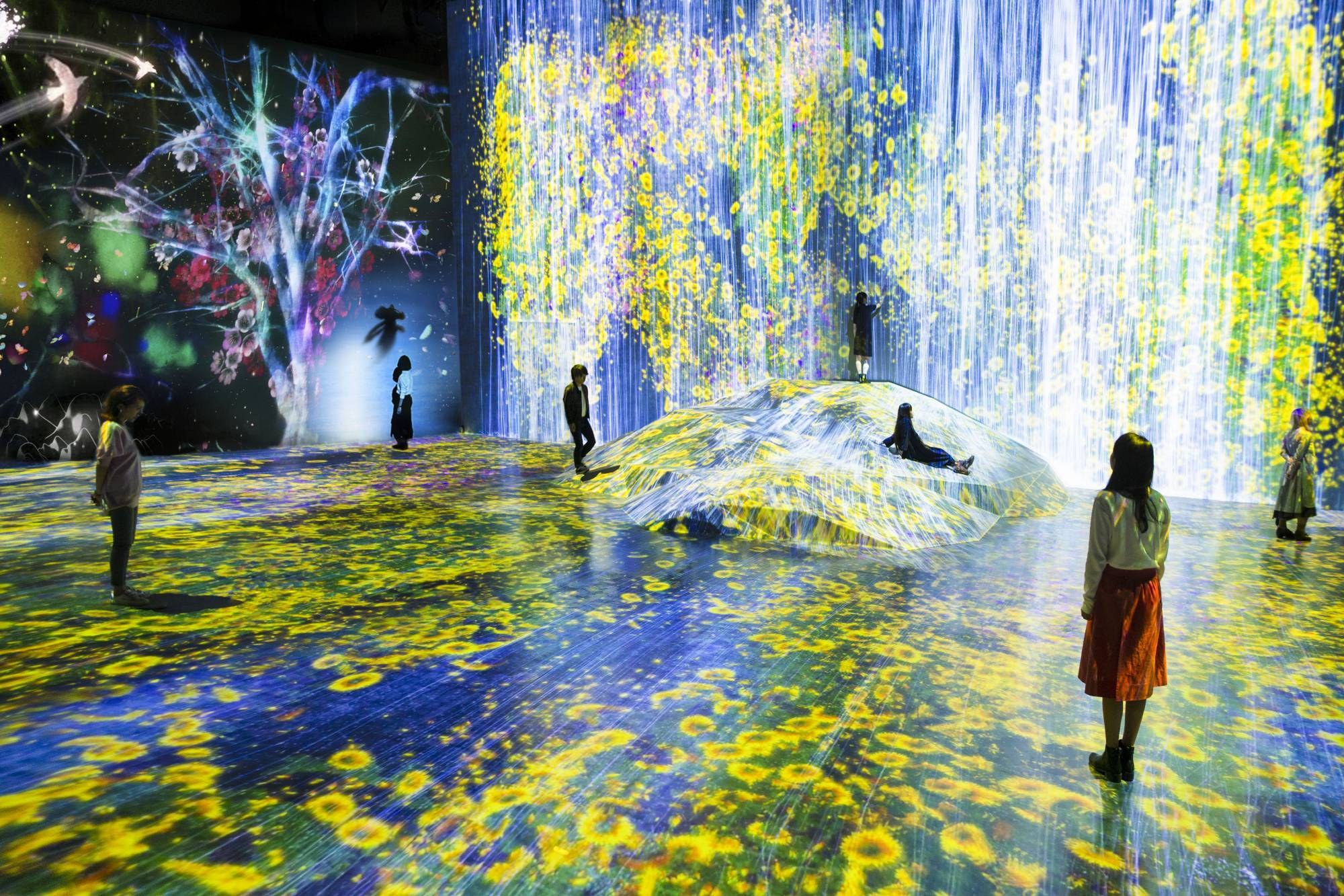 JP - Tokyo - Digital Art Museum.jpg