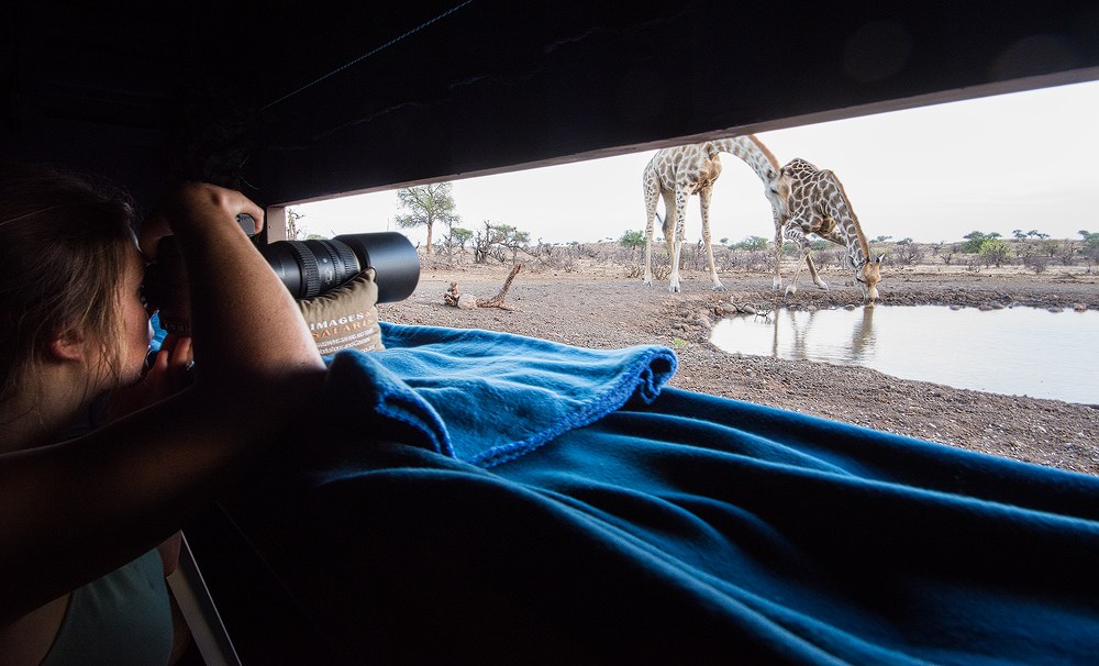 BW- Mashatu - Hide - Giraffes.jpg