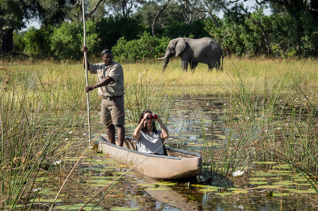 BW-Vumbura Plains-mekoro.jpg