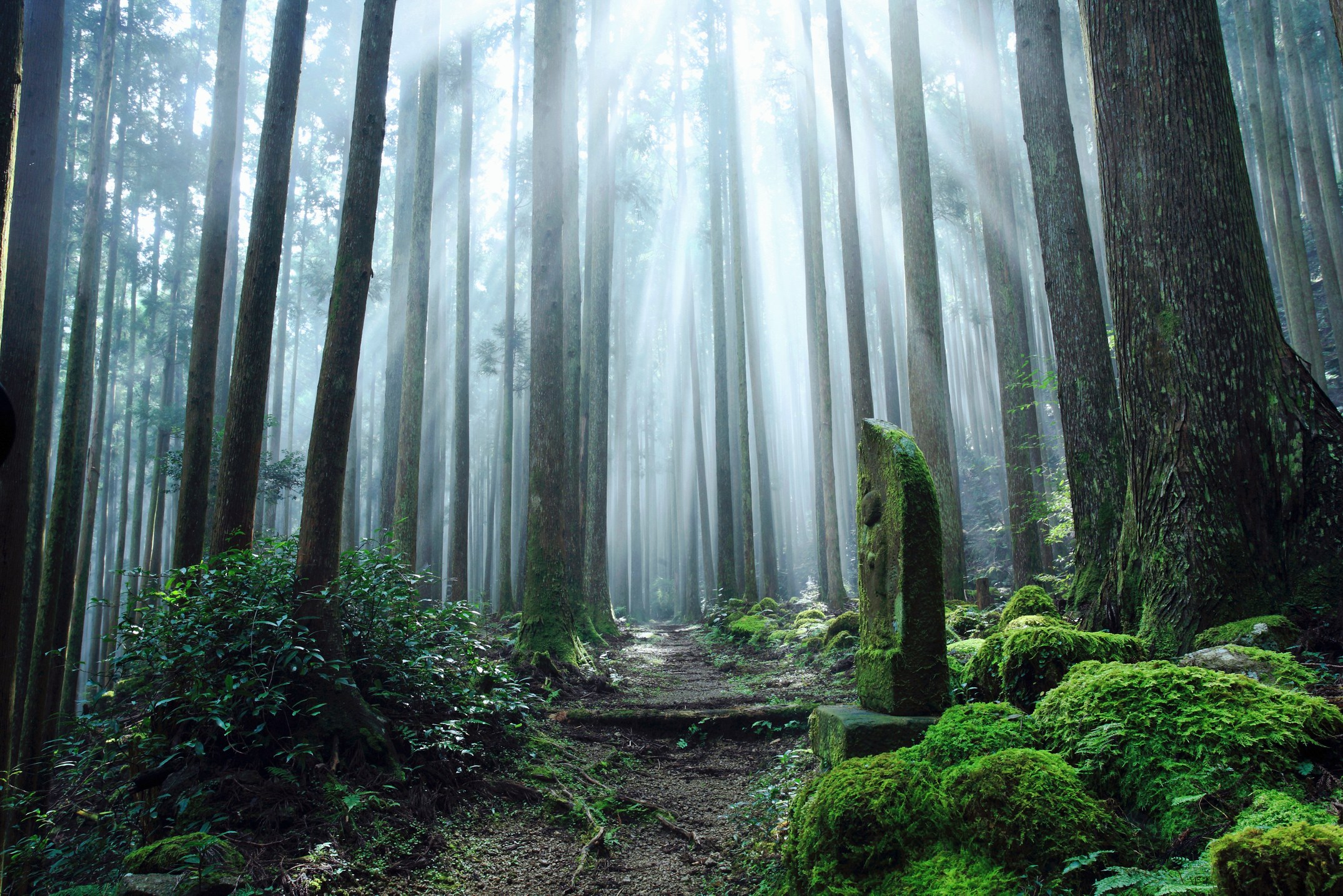 JP - Mie Amanemu - Kumano Kodo, Mie Prefecture, Honshu, Japan.jpg