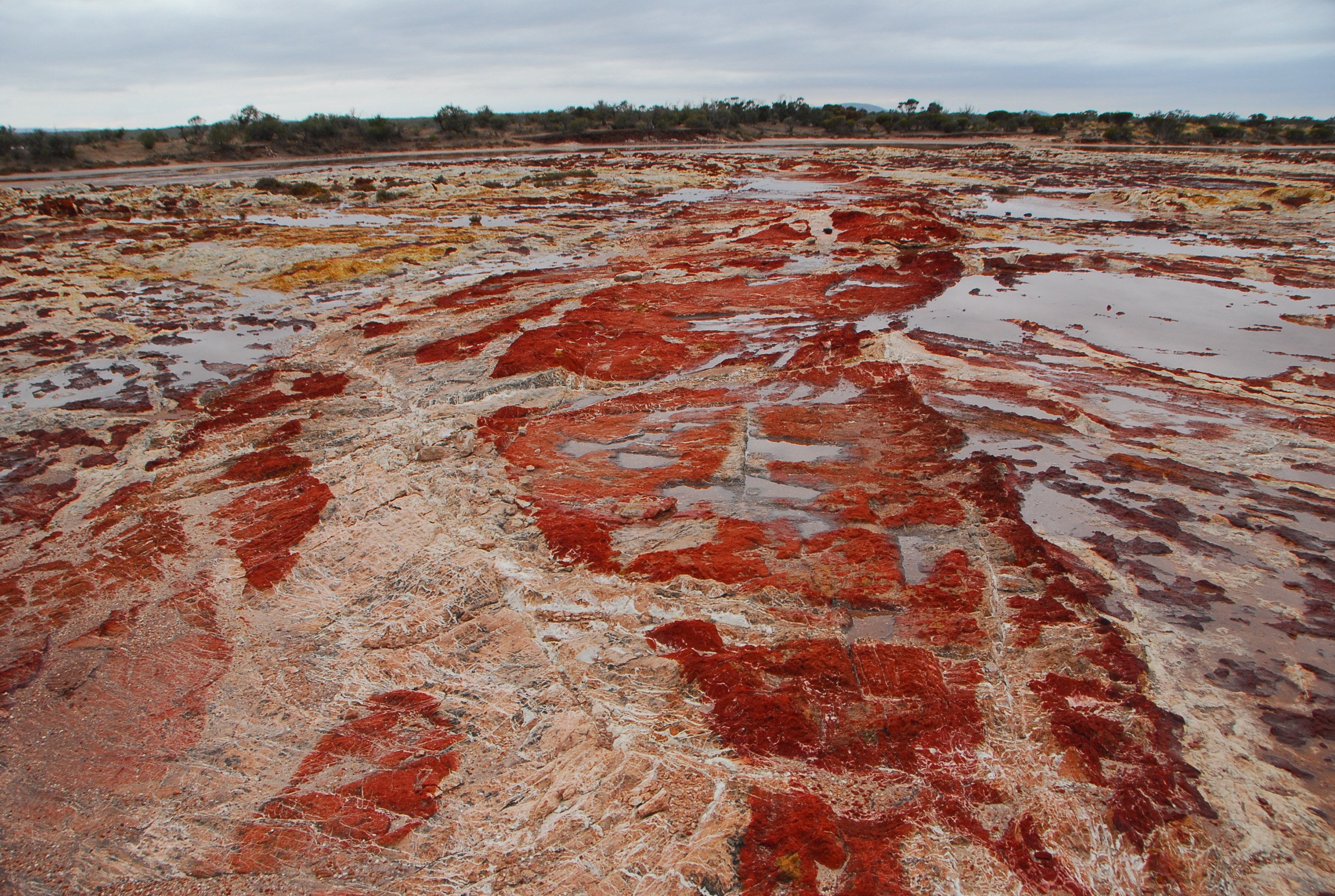 AU - Gawler Ranges - Landscape.JPG