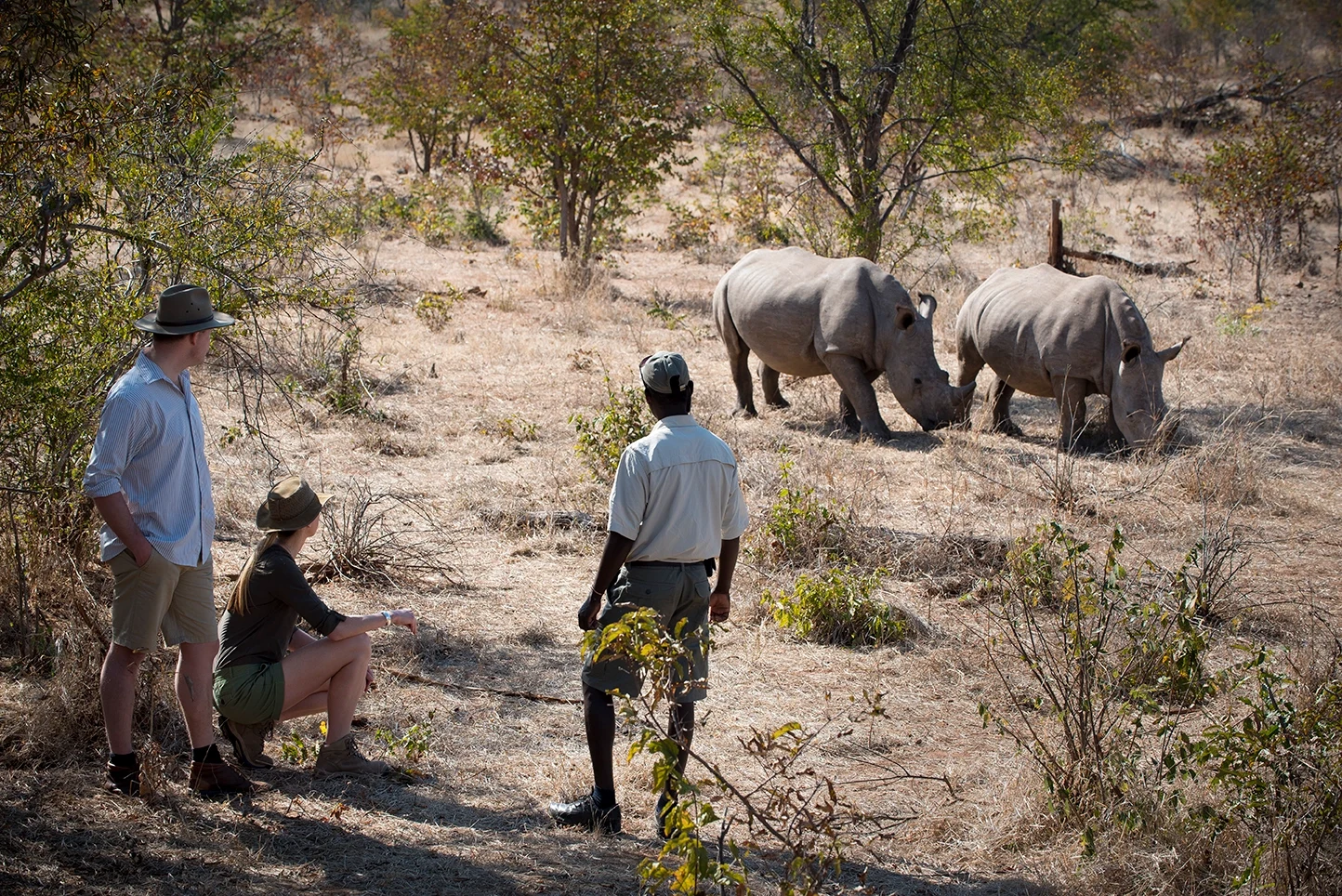 ZM - Thorntree River Lodge - Rhinos.webp