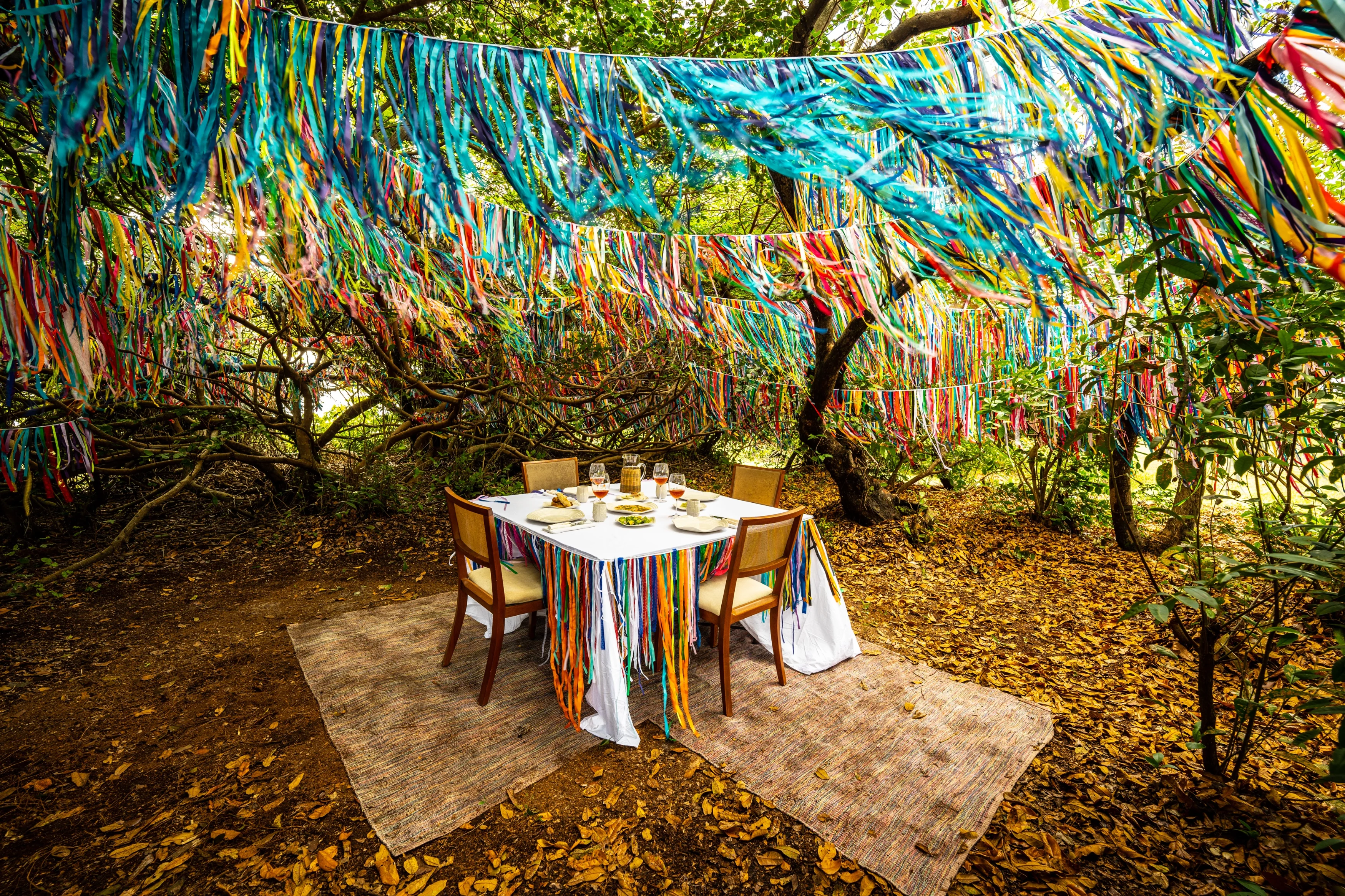 ALE08593 (1).webp