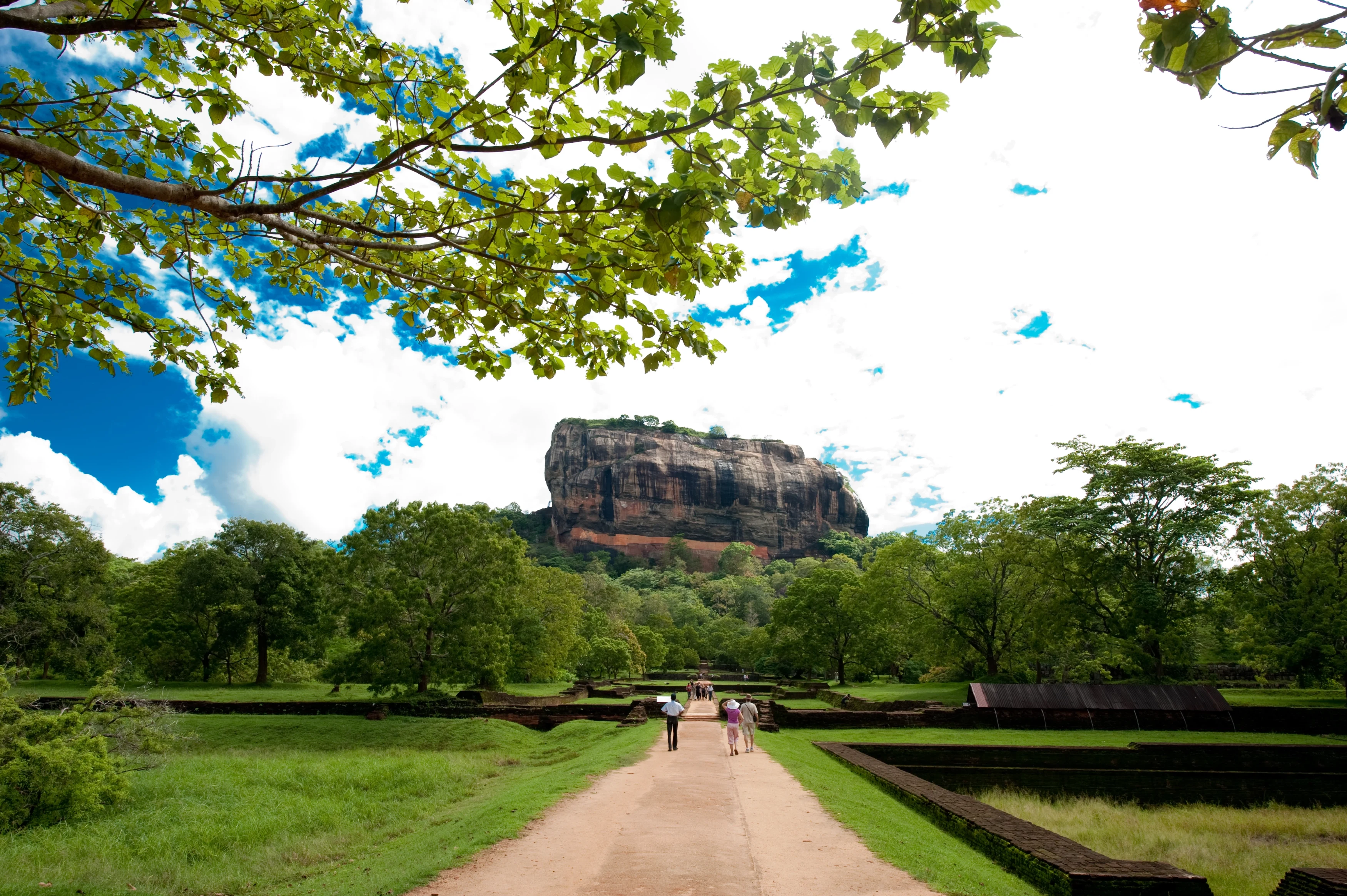 LK-Sigiriya-Rock Landscape (1) (1).webp