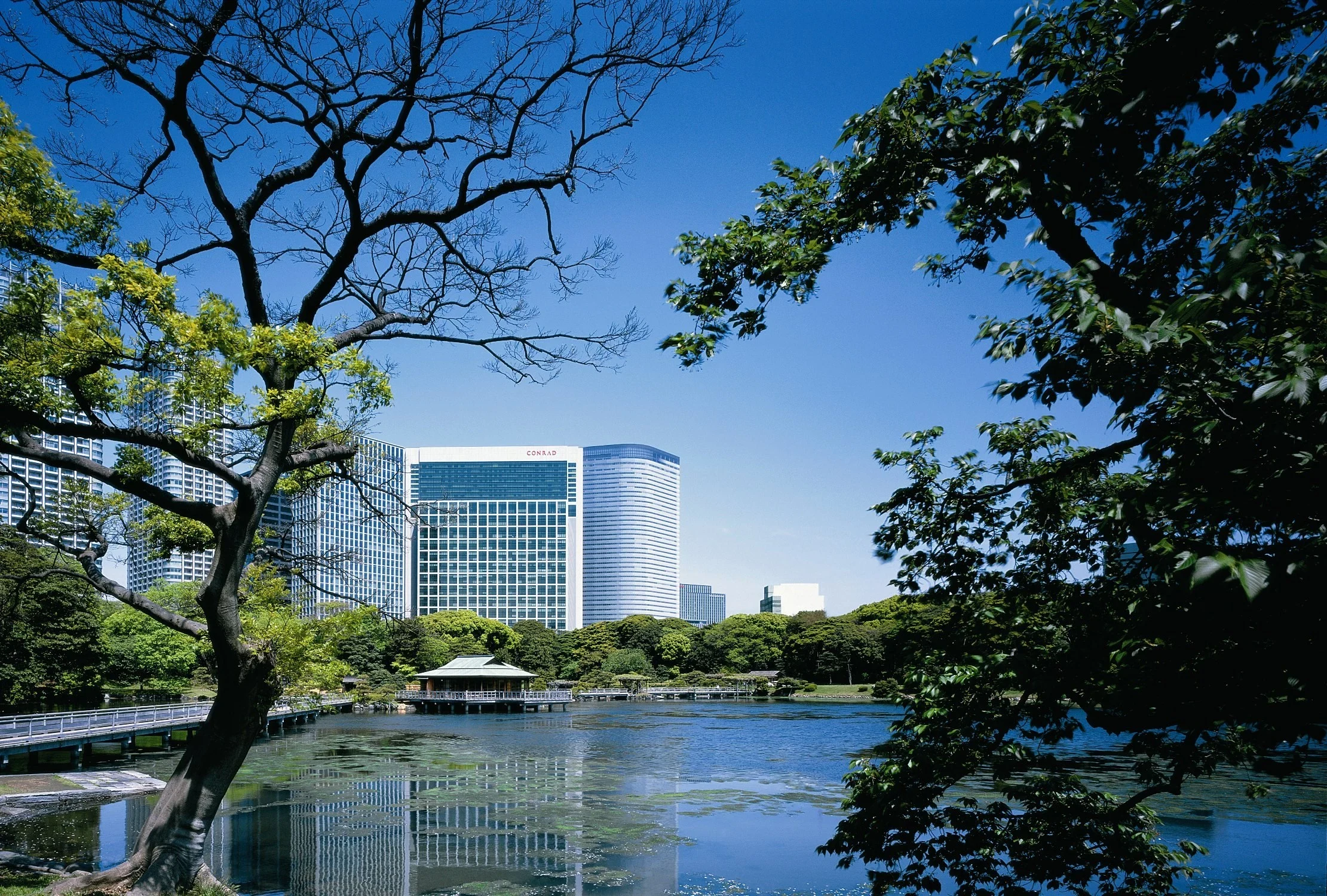 JP_-_Tokyo_Conrad_-_Exterior_with_water.webp
