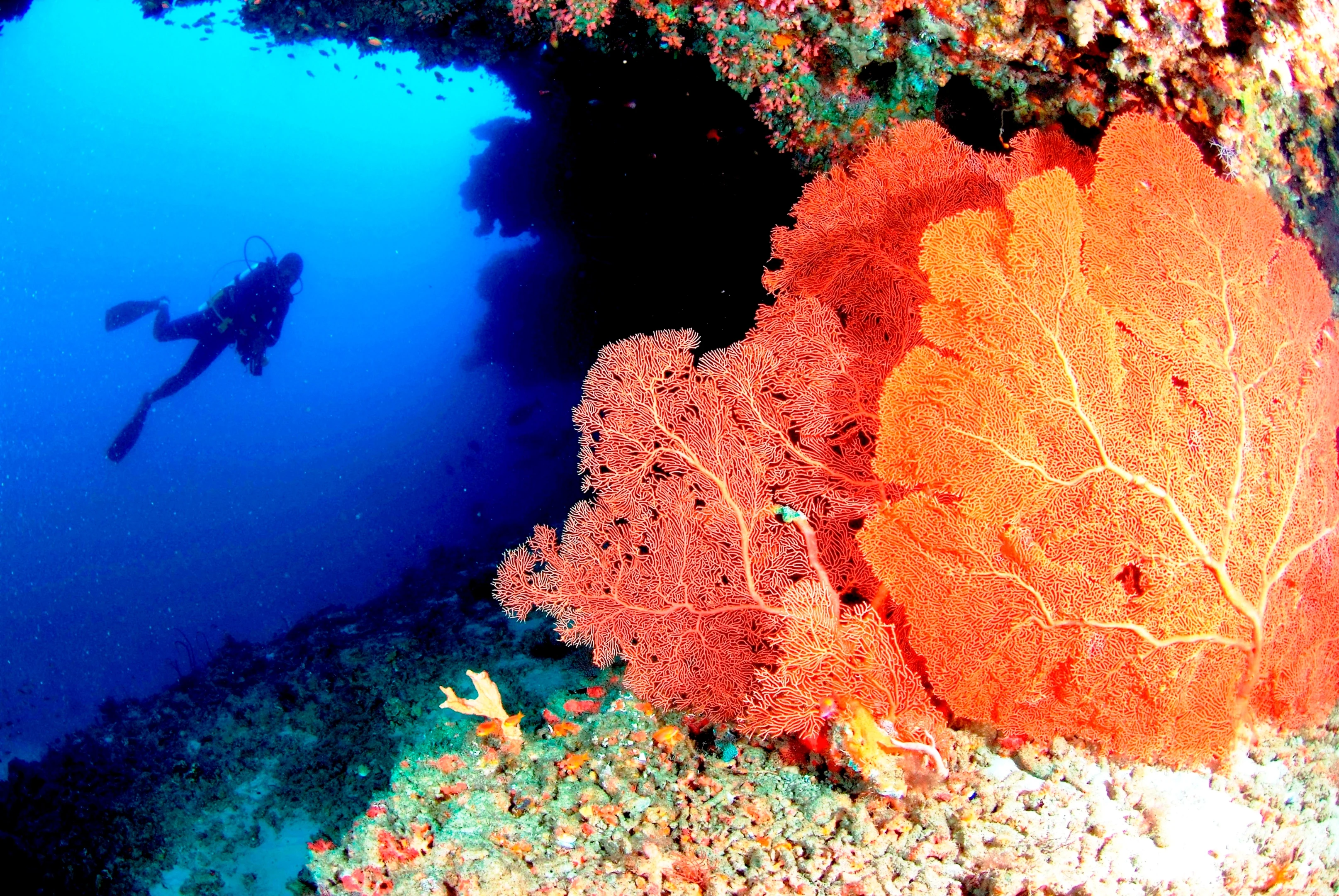 MV - Anantara Veli - Diving.webp