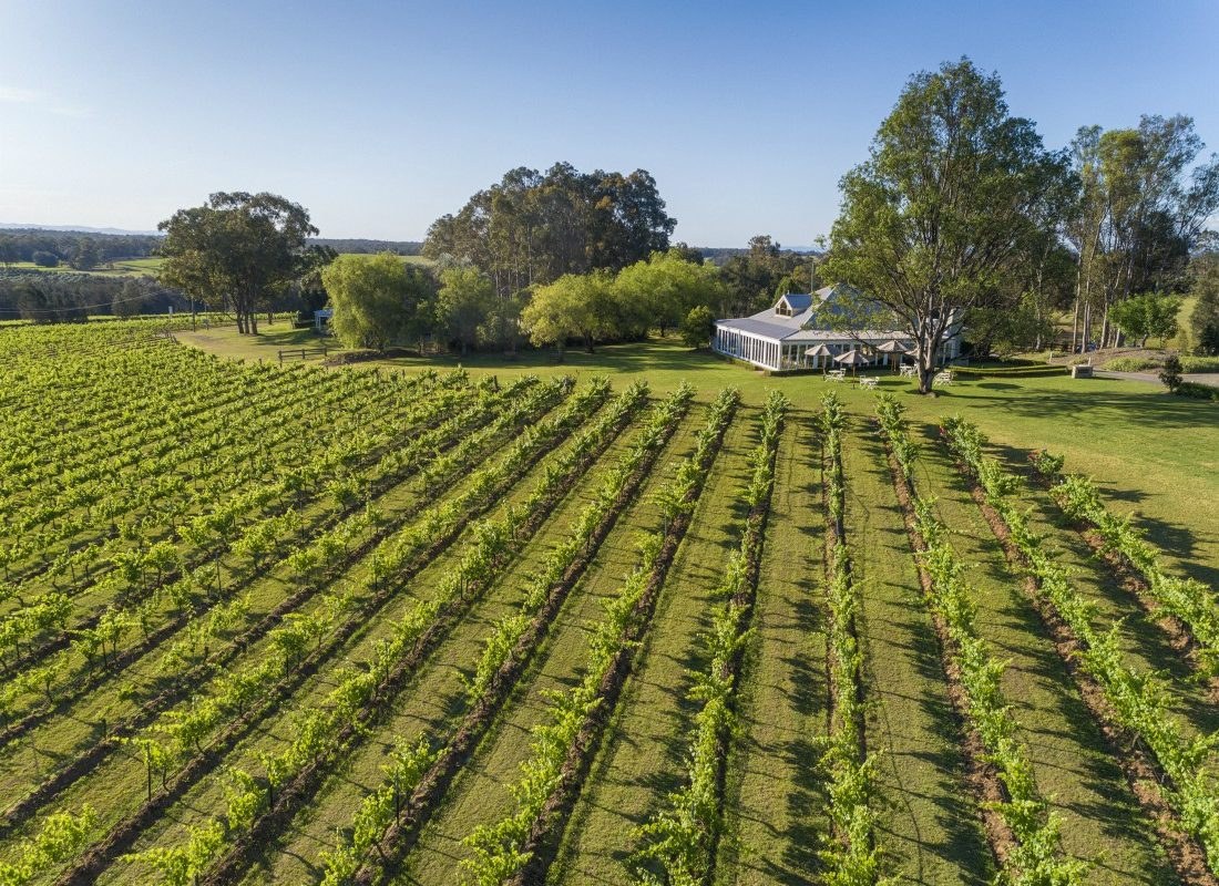 Vineyards Botanica Arial (1).jpg