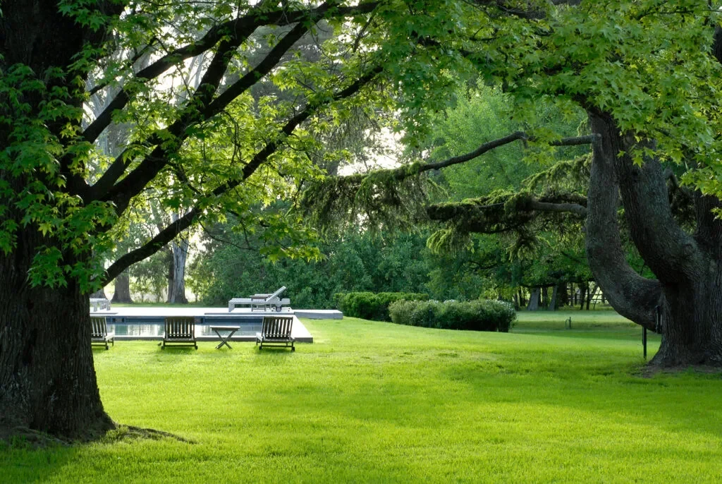 AR - accommodatie - La Bamba de Areco - zwembad.webp