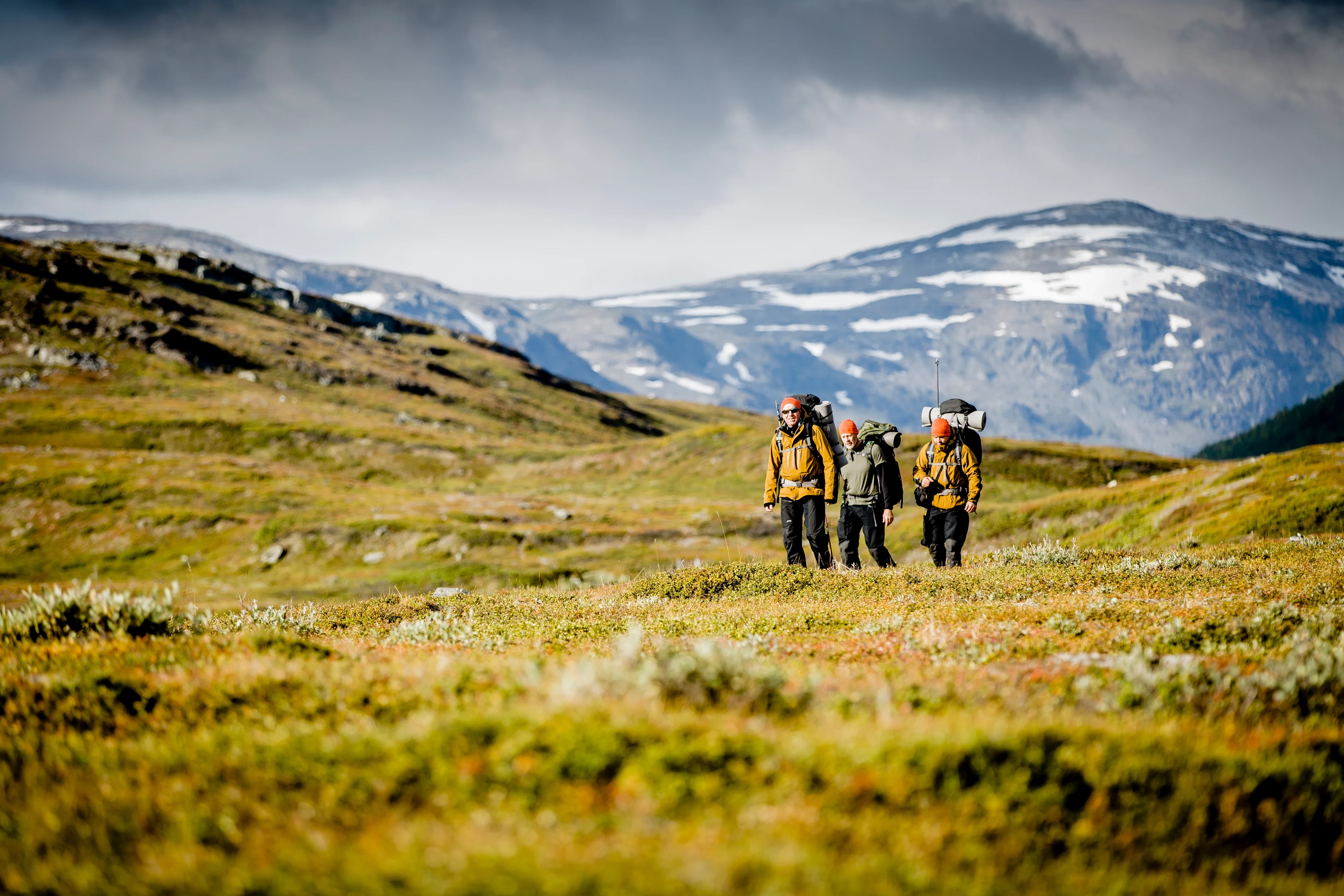 SE - Abisko swelapland_visitswe_oas15_sep15-1296_fullres_cjutsi.webp