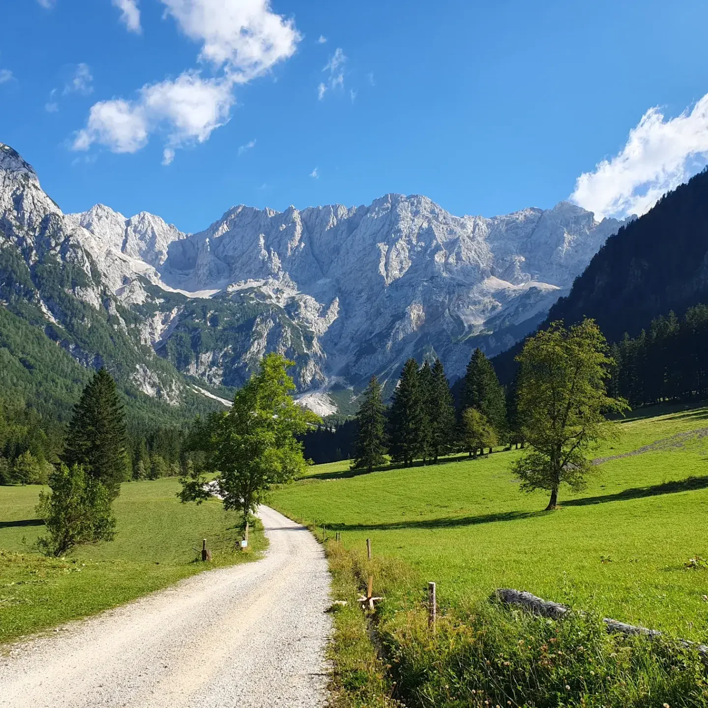 SI-studiereis-Slovenië-Vila Planinka omgeving.webp