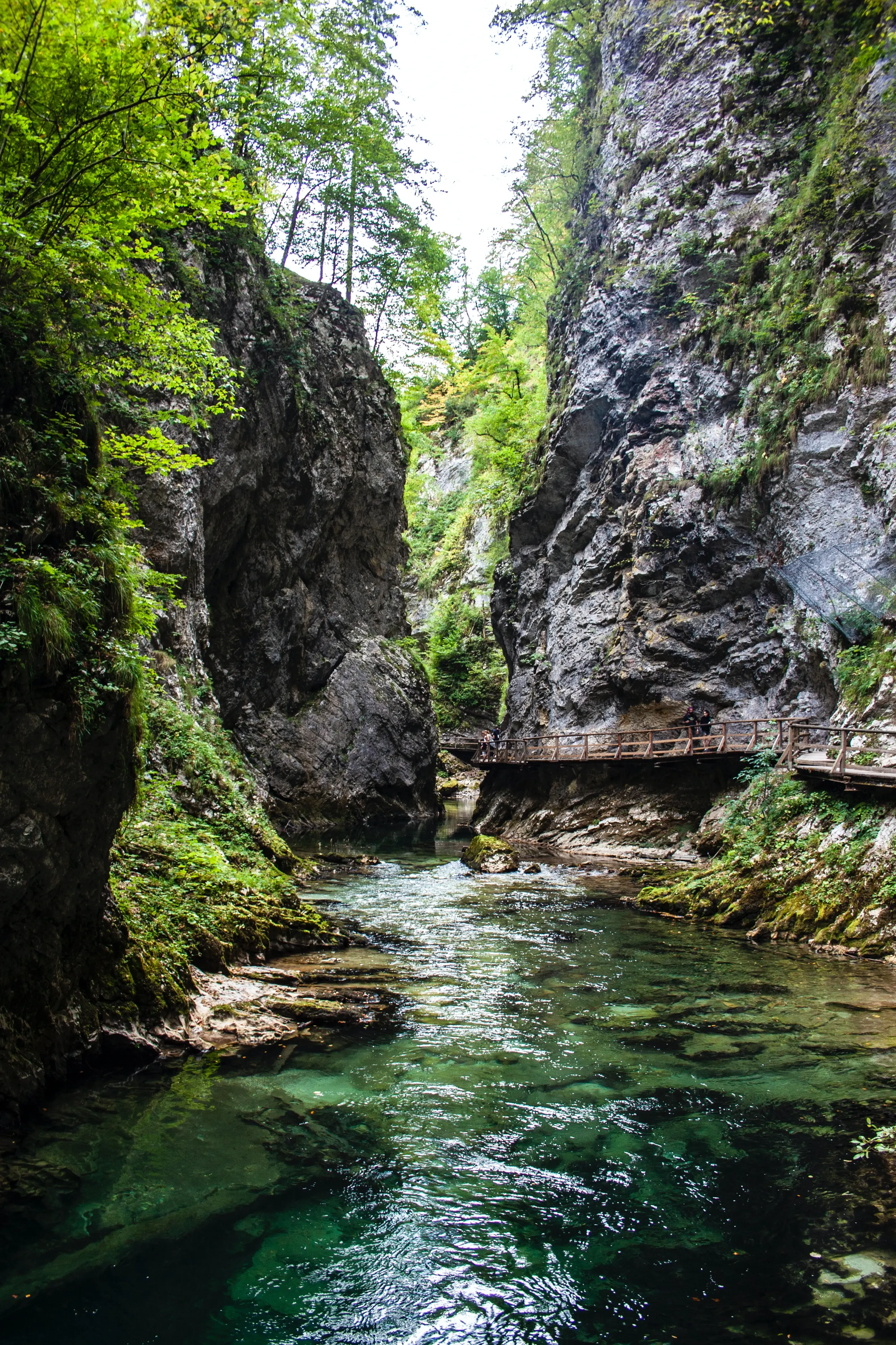 SI - Water (2).webp