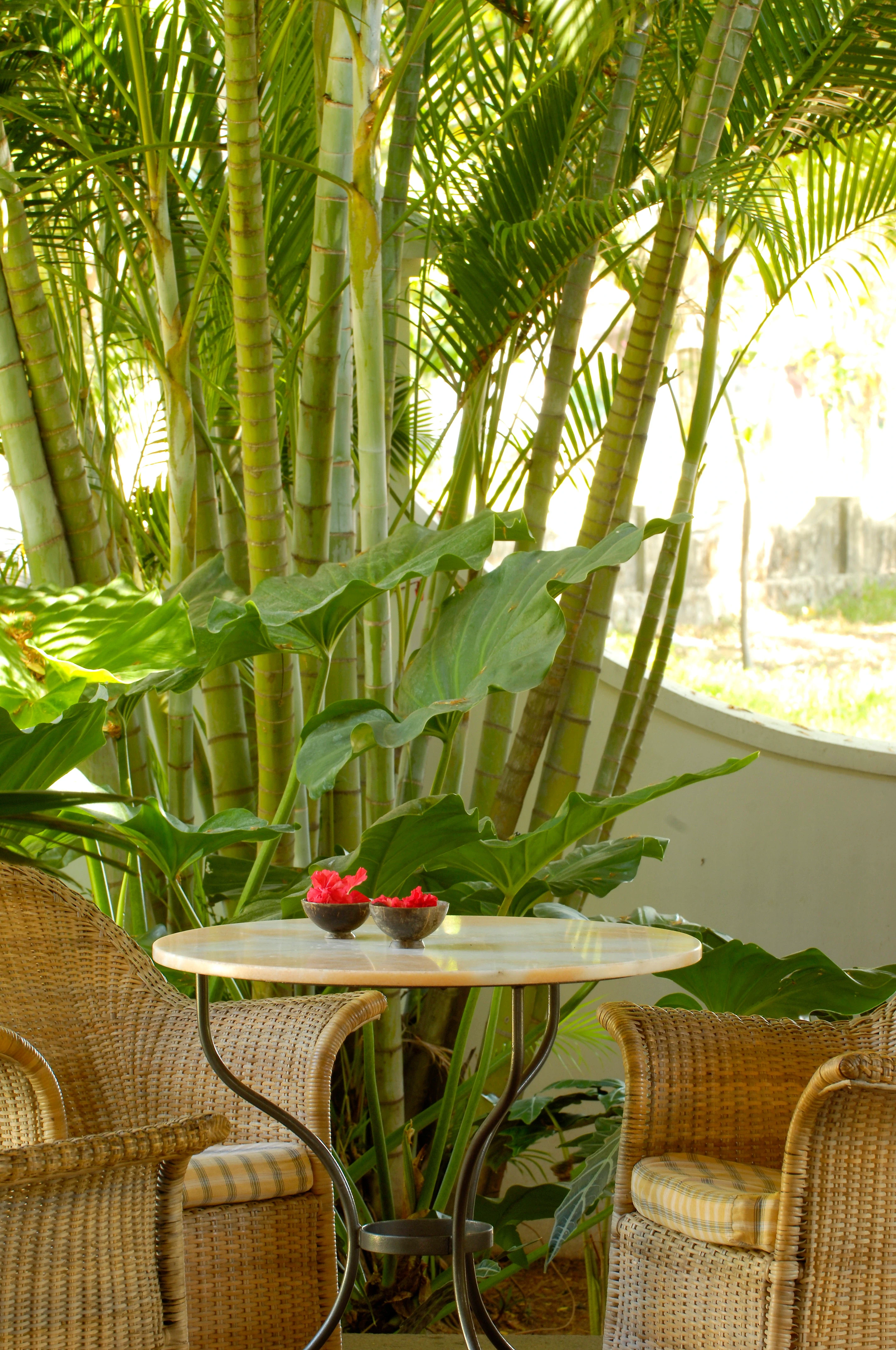 IN - Malabar House - Garden.webp
