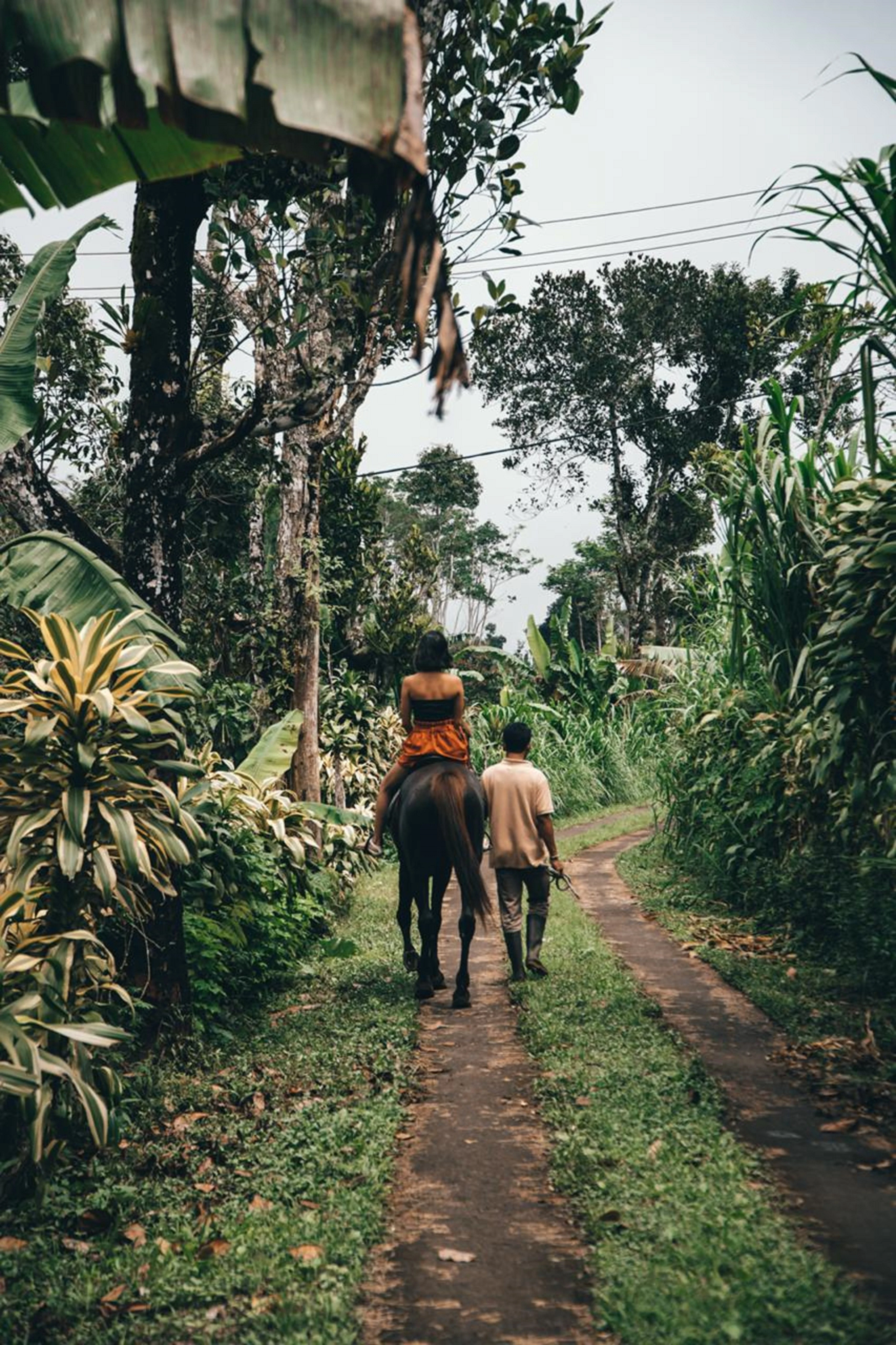 IN - Munduk Moding Plantation - Activities - Horse Back Riding.webp