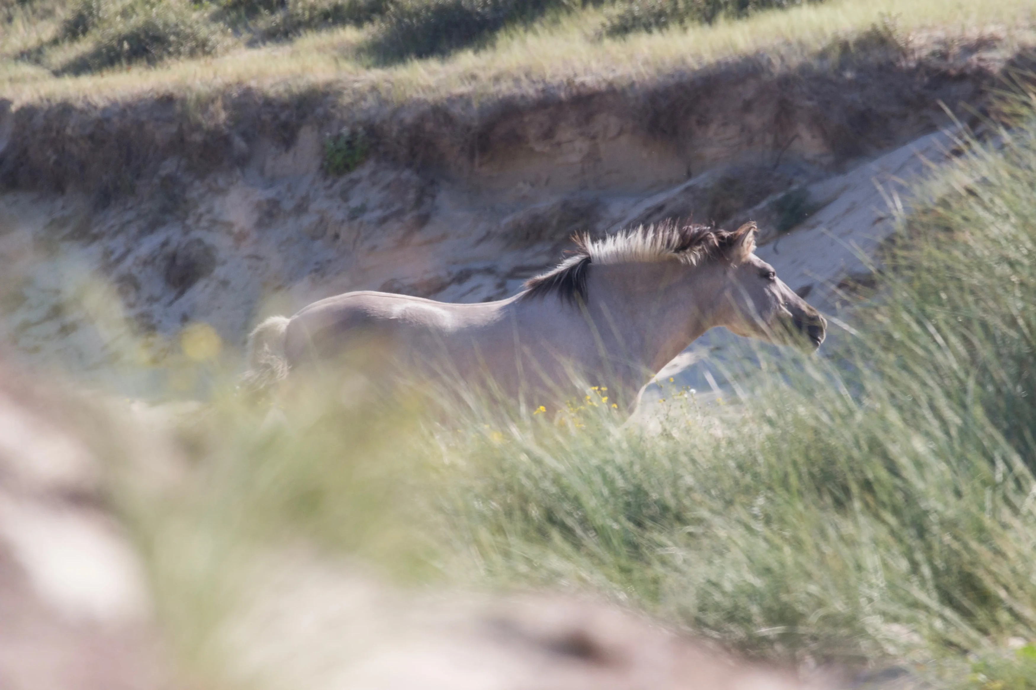 PT - Alentejo - Horseriding.webp