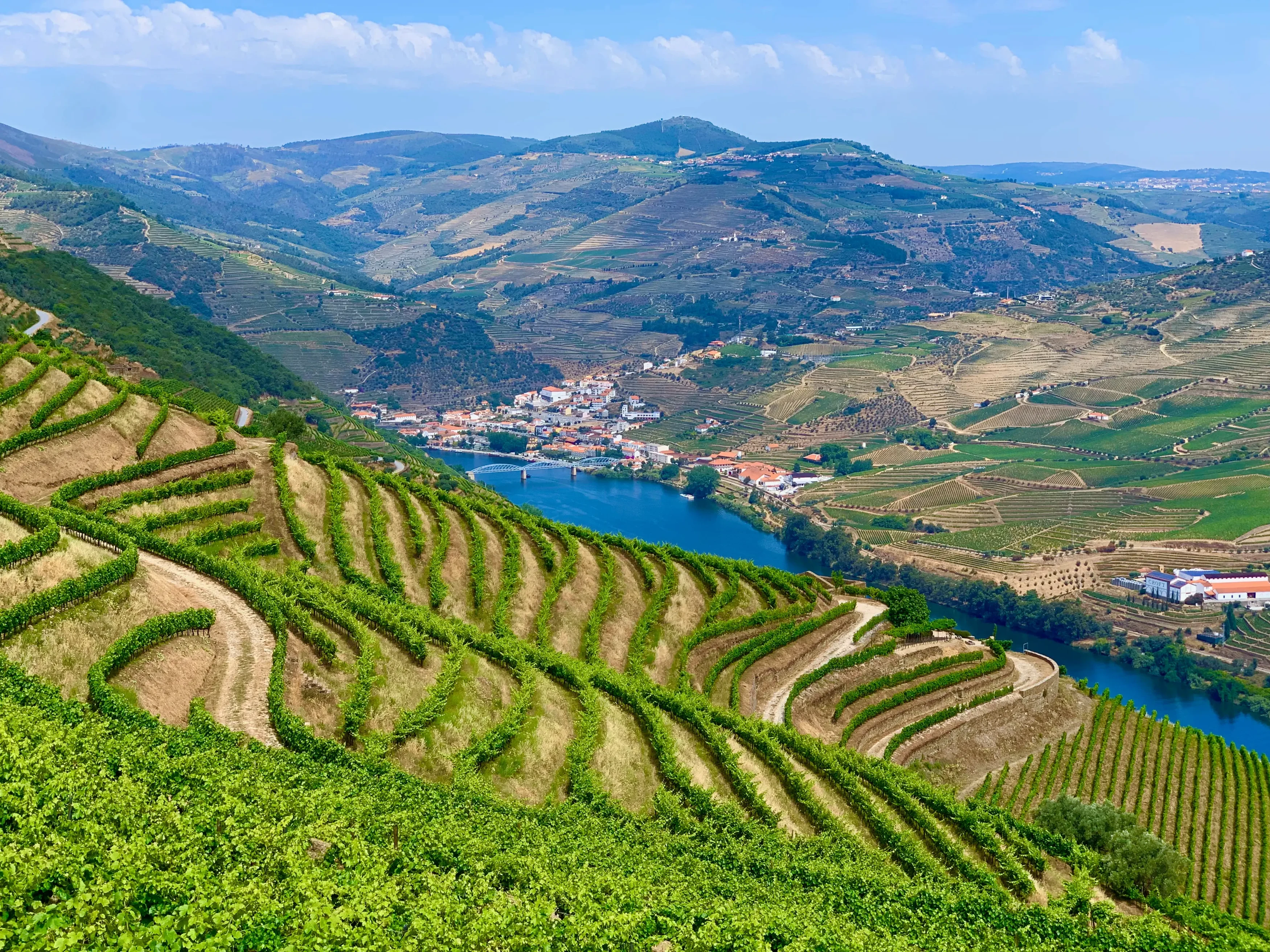 PT - Douro Valley - River and Vineyards.webp