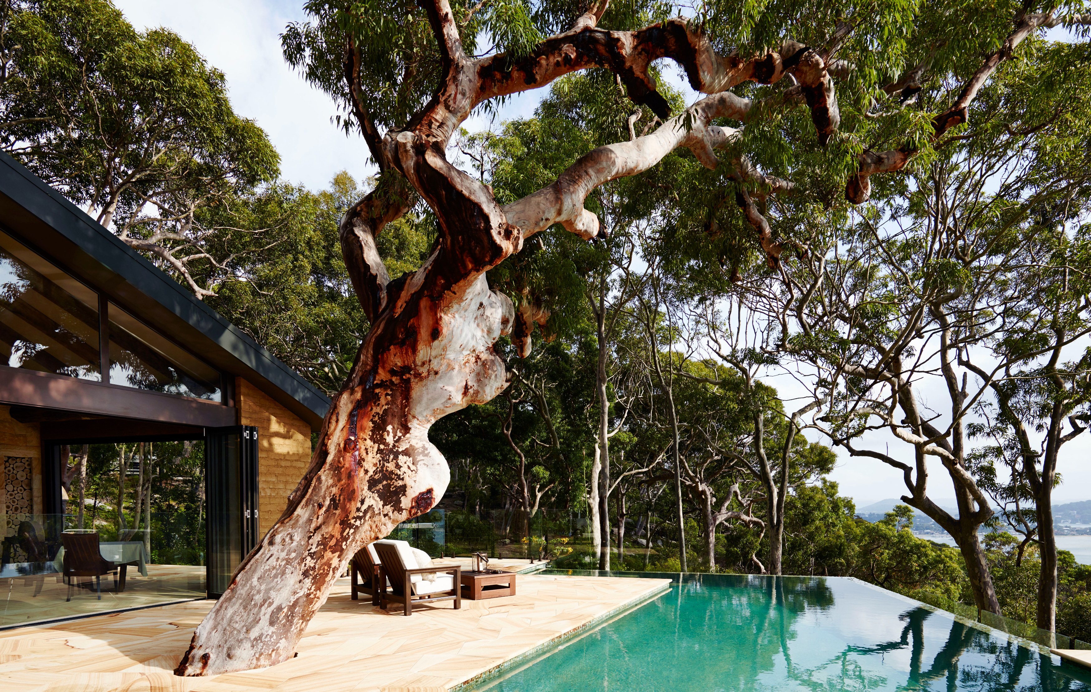 AU - Pretty-Beach-House_Bouddi-Peninsula_Infinity-Pool-Tree.jpg