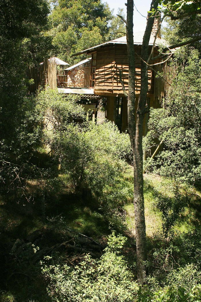 ZA - Tsala Treetop Lodge - Lodge Exterior (2).jpg