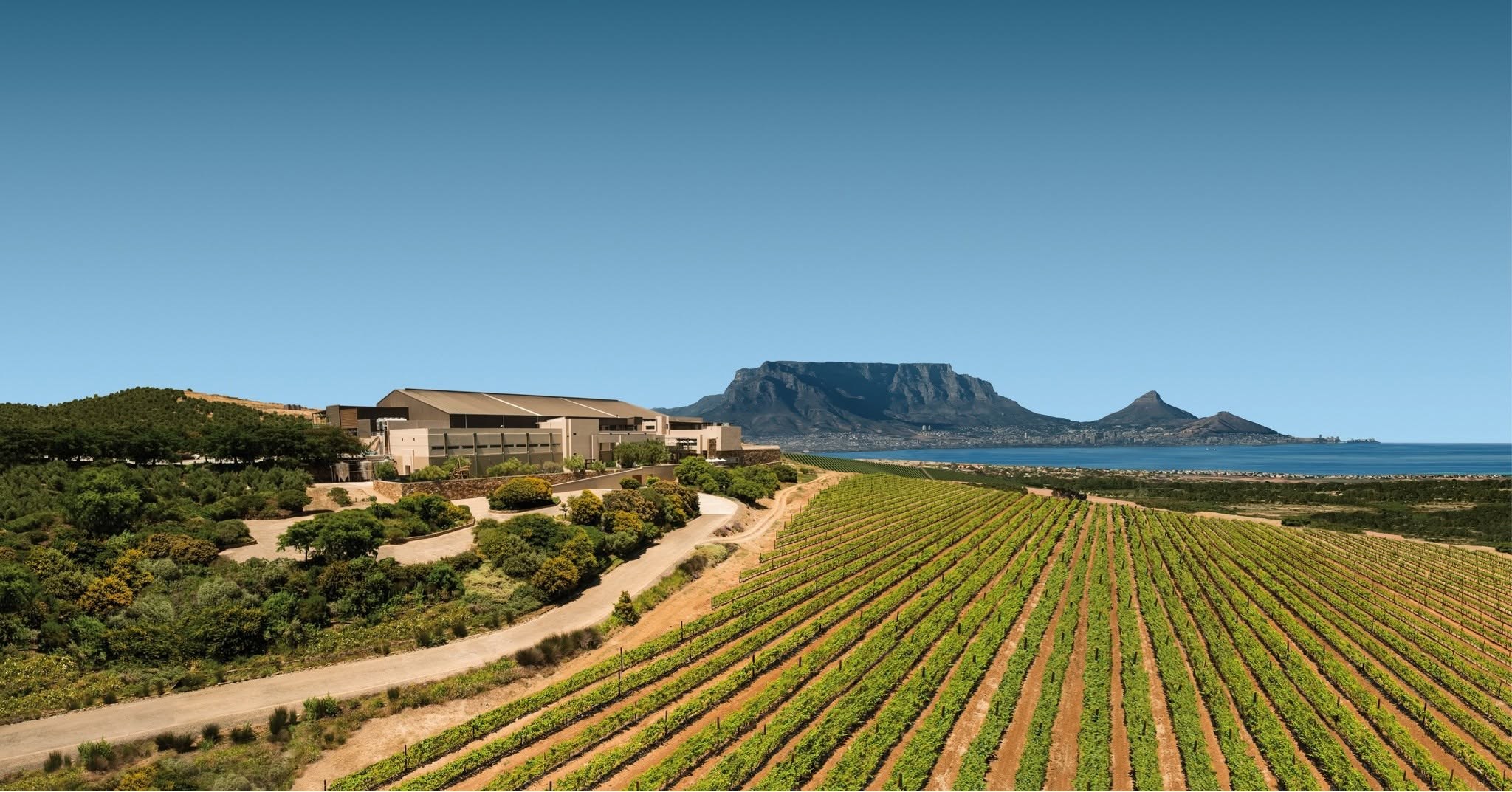 ZA-Cape Town Helicopters - Wine Safari.jpg