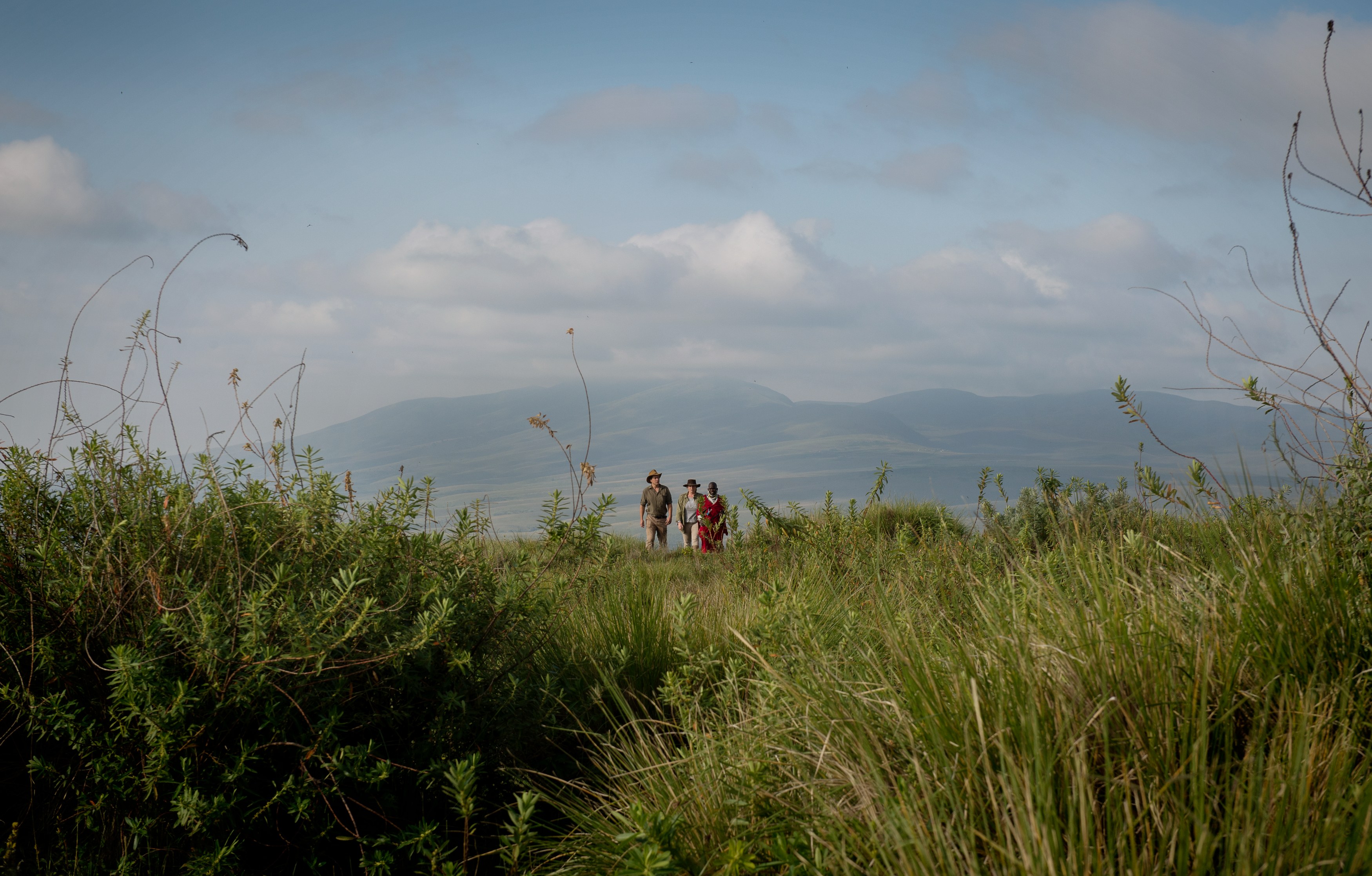 TZ-The Highlands-walking.jpg