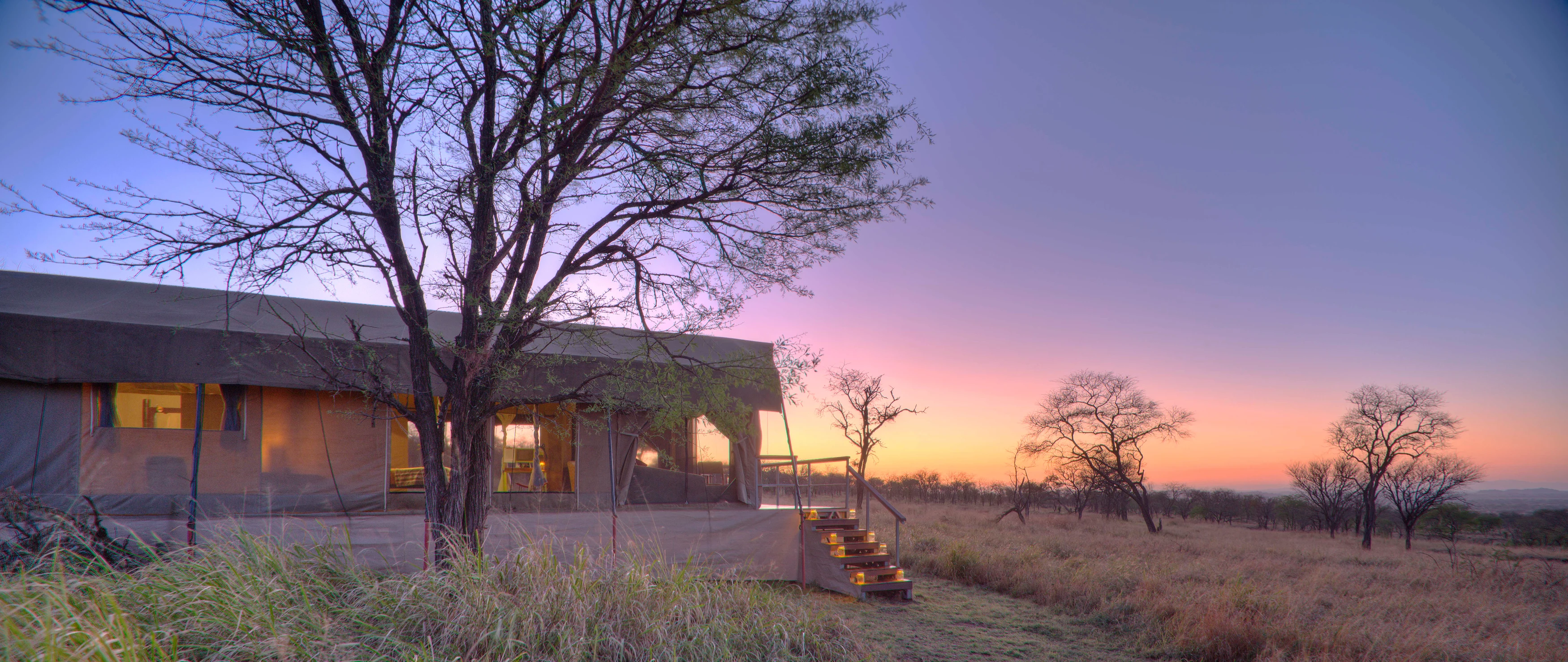 TZ-Dunia Camp-tent exterior.webp