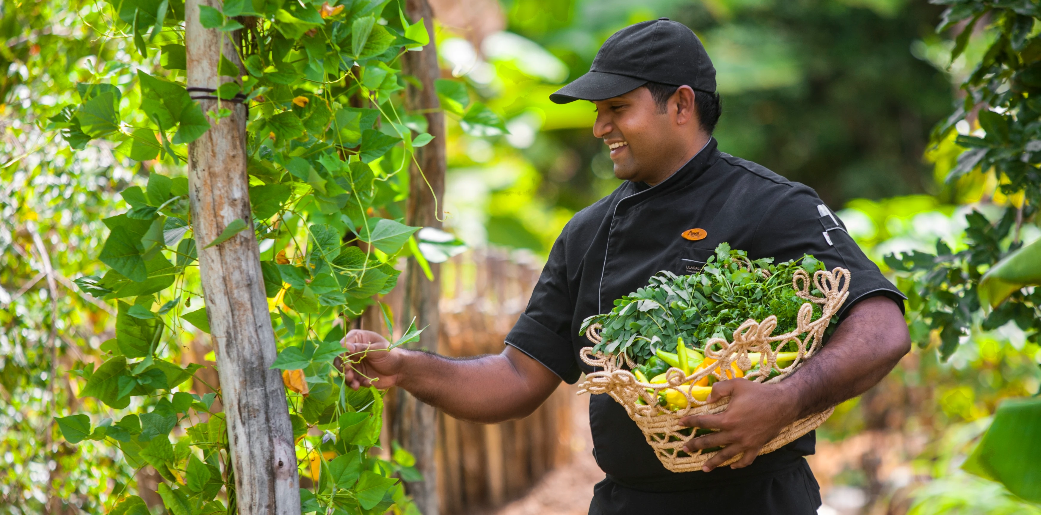 LK-Ulagalla Resort-Organic Gardens.webp