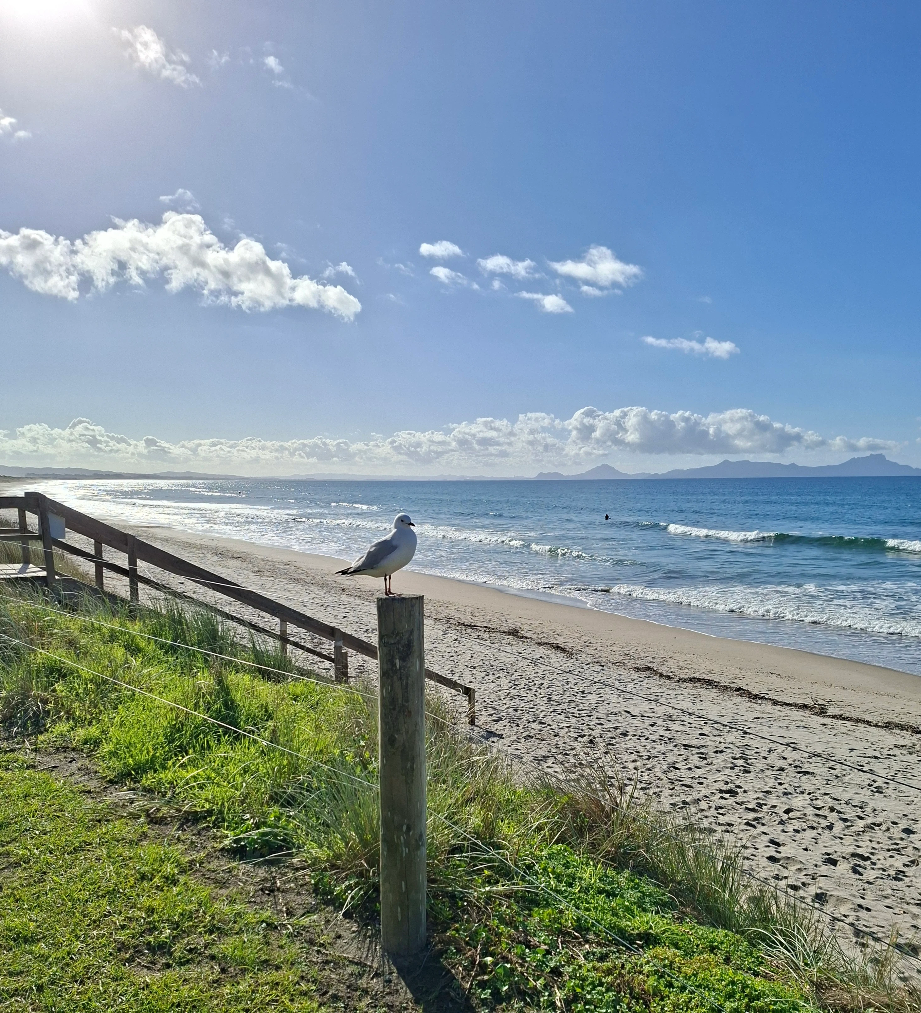 NZ - Famil 2025 - Bay of Islands - beach.webp