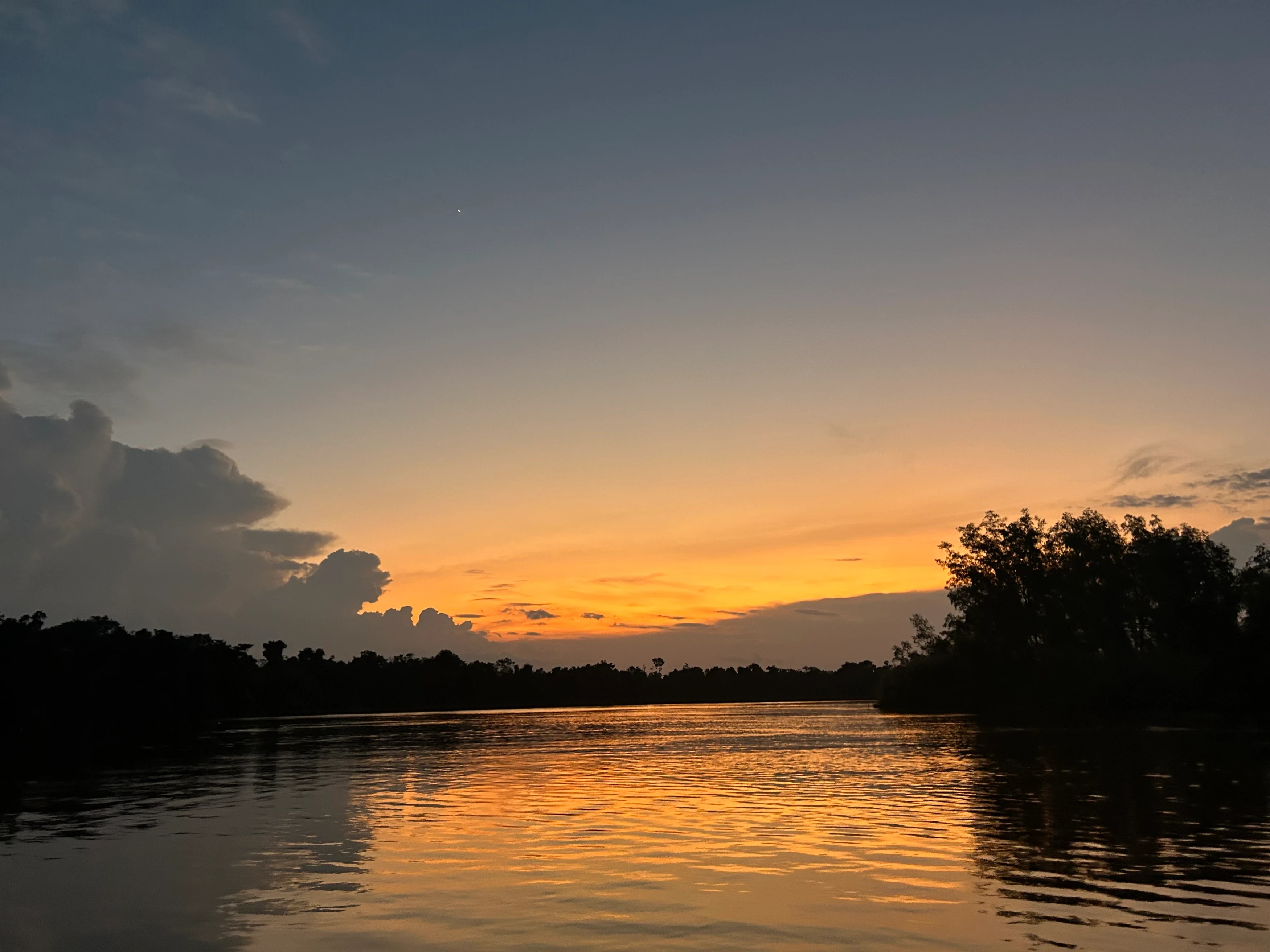MY - Kinabatangan Wetlands resort - Sunset.webp