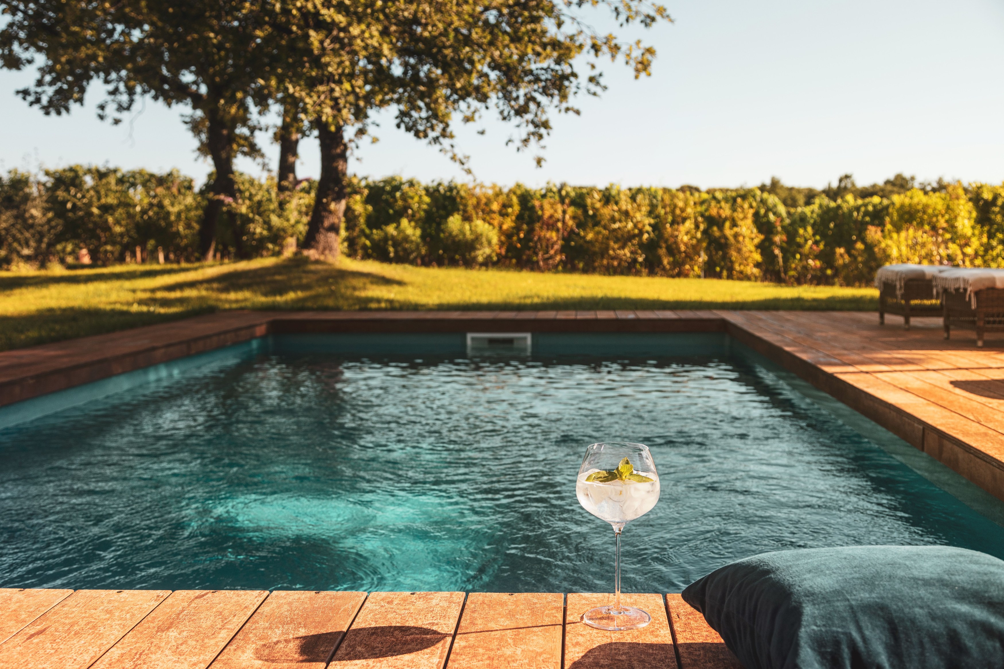 HR-Meneghetti Wine Hotel- swimming pool drinks.jpg