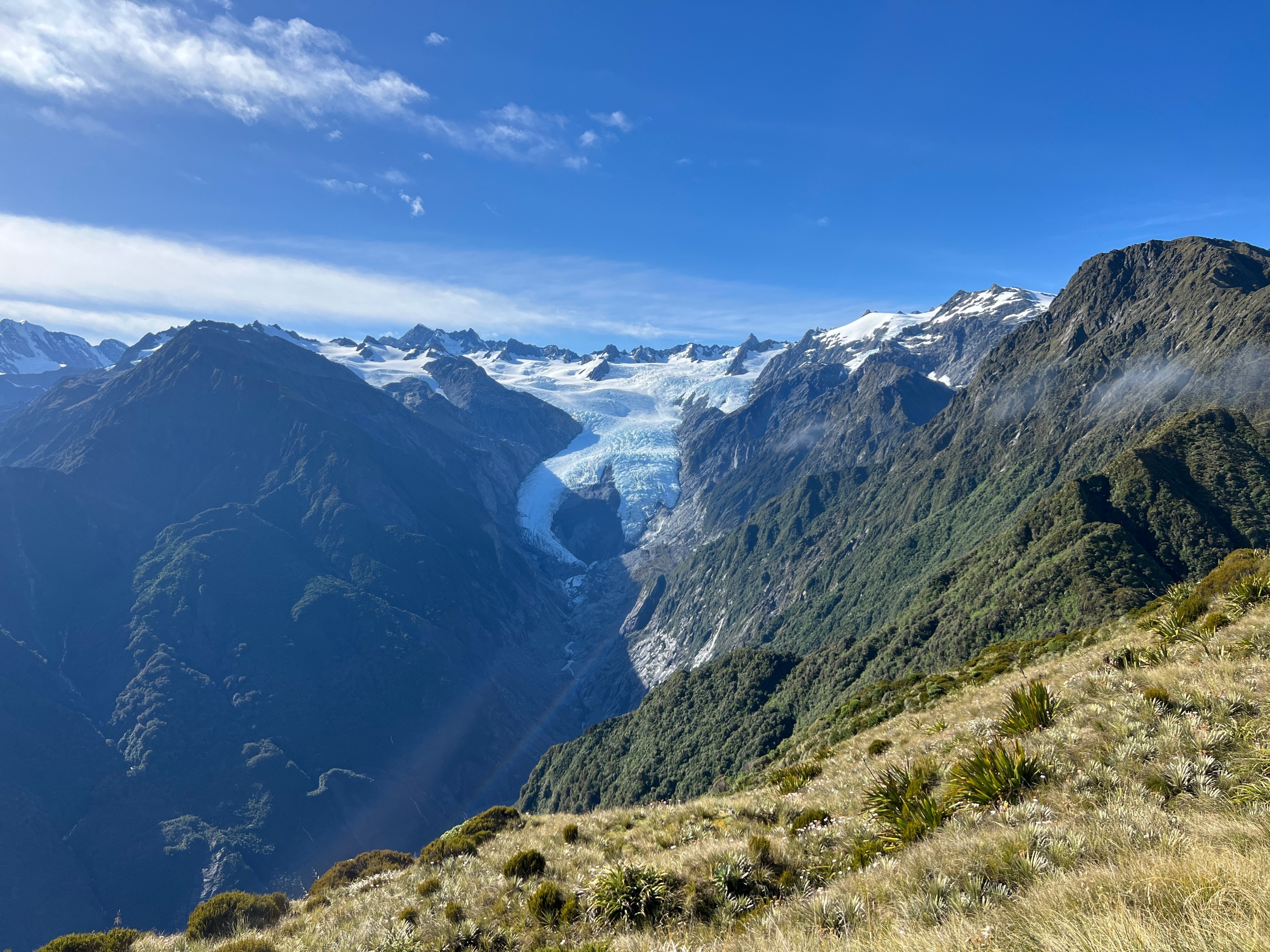 NZ-Franz Josef-Shutterstock 2.jpg
