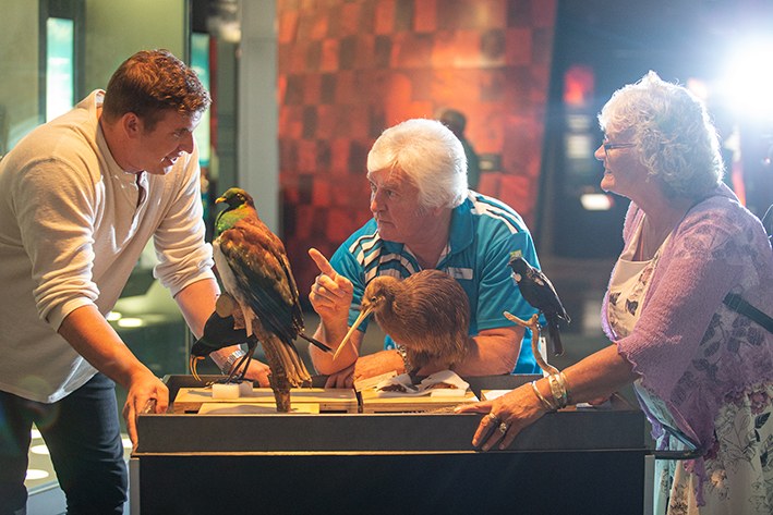 NZ-Rondleiding-Te-Papa-Museum.jpg