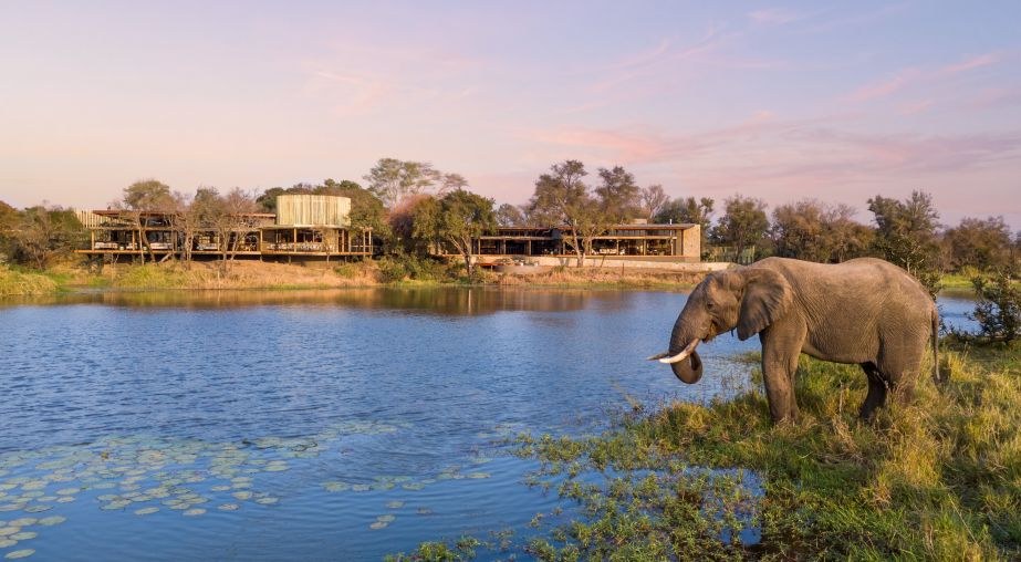 ZA-Sandringham-Elephant.jpg