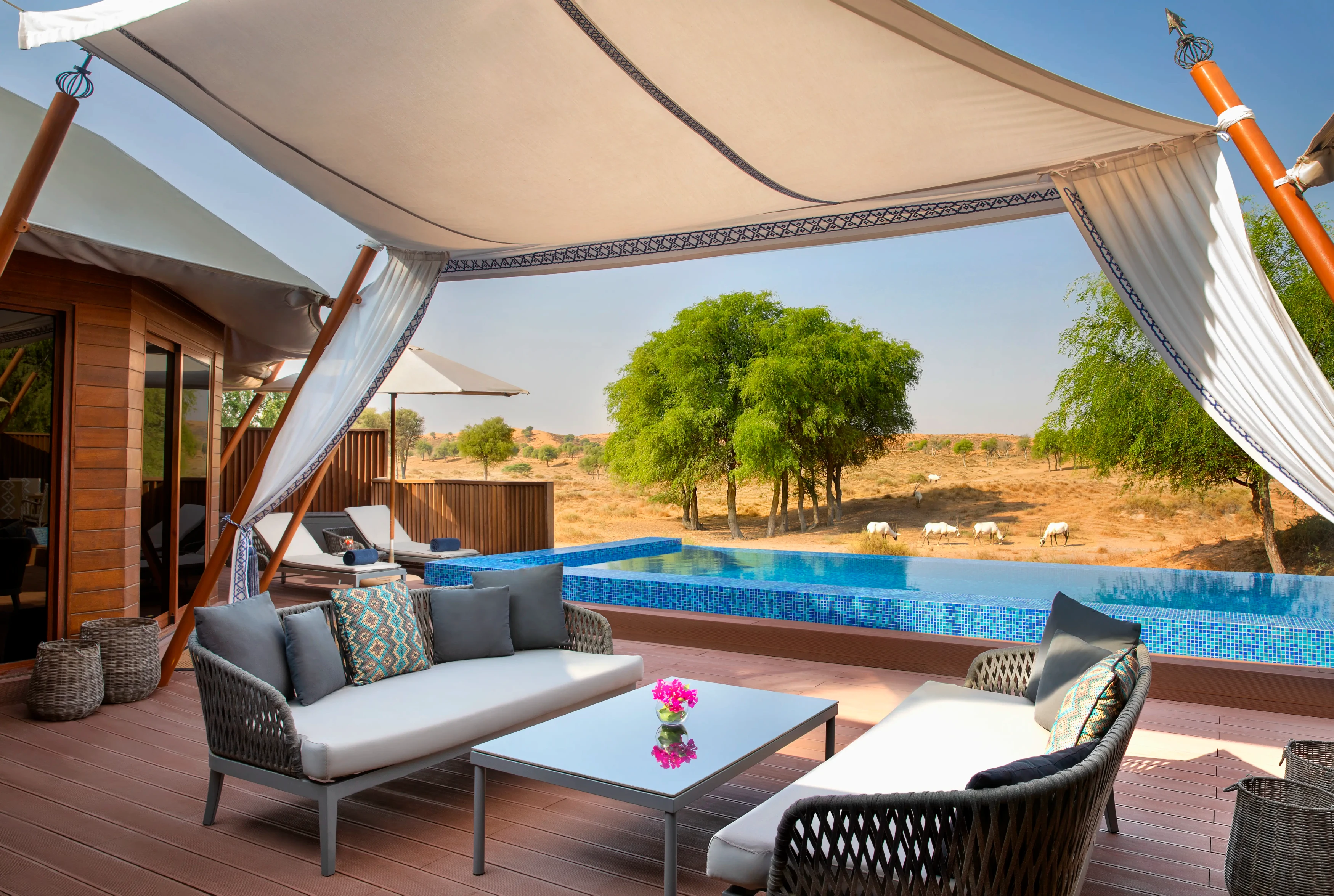 AE - Al Wadi Desert - Al Sarab Desert View Villa.webp