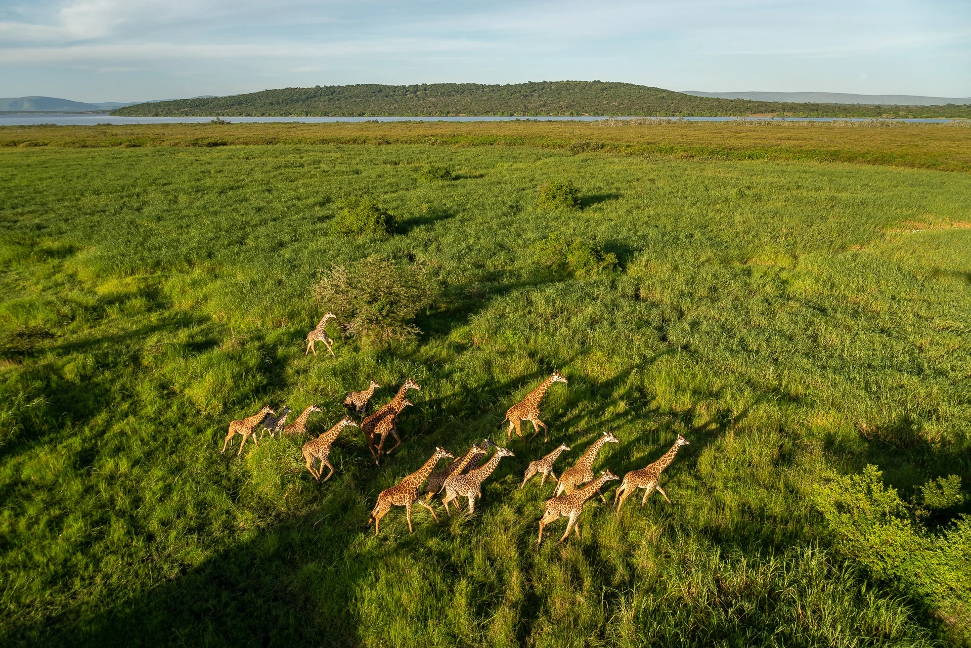 RW - Magashi Camp - Wildlife (3).webp