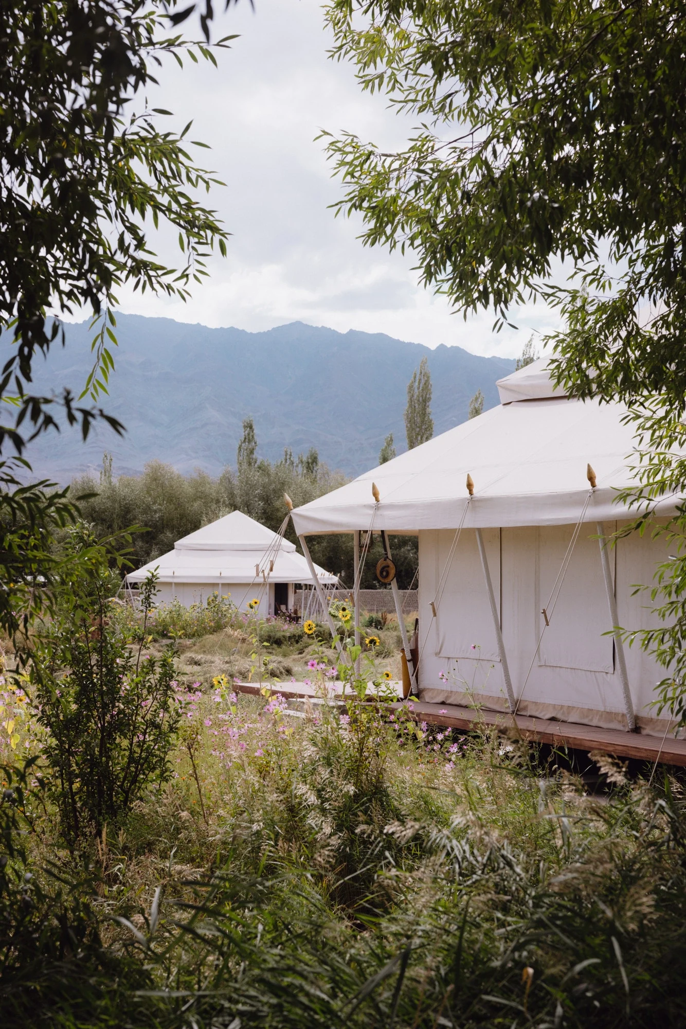 IN-Ladakh Expeditie-Thiksey Camp- Pie Aerts (7).webp