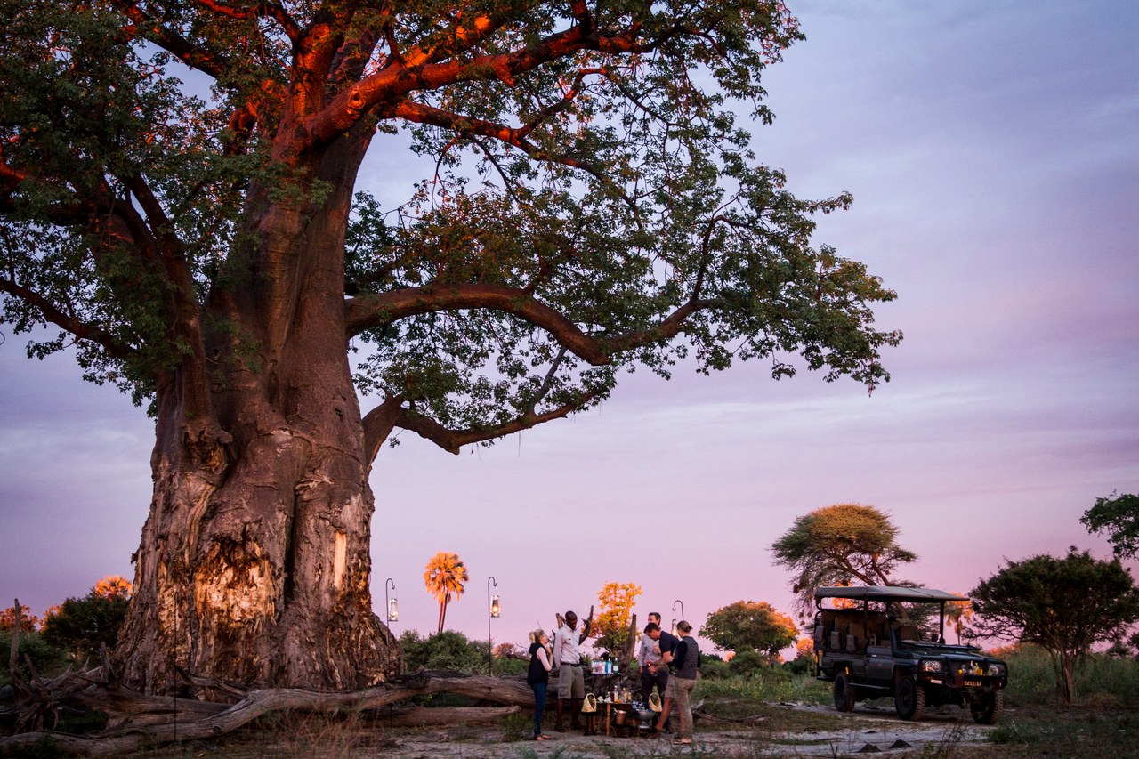 BW-Mombo Camp-sundowner.jpg